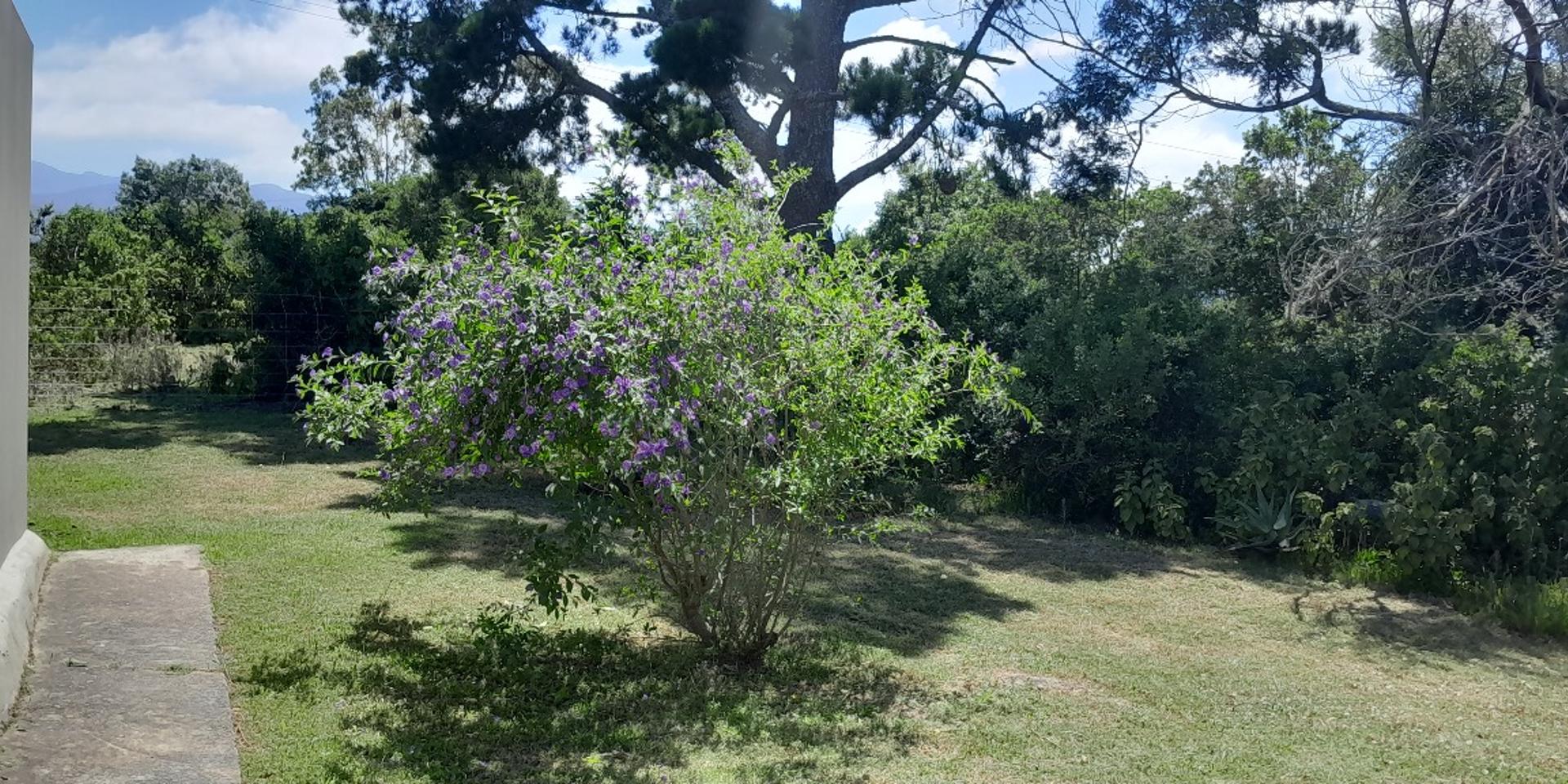 Image 4 of 6