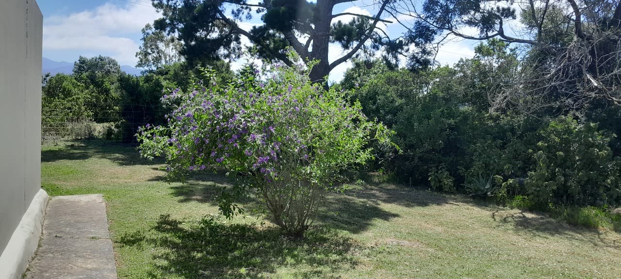 Image 4 of 6