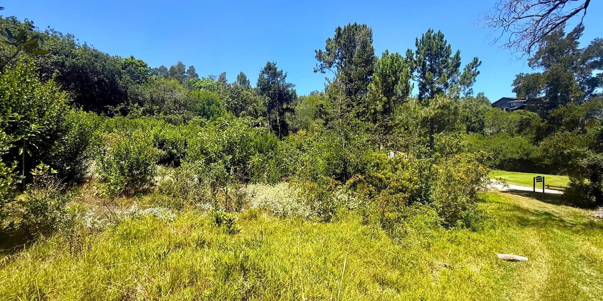 Image 4 of 6