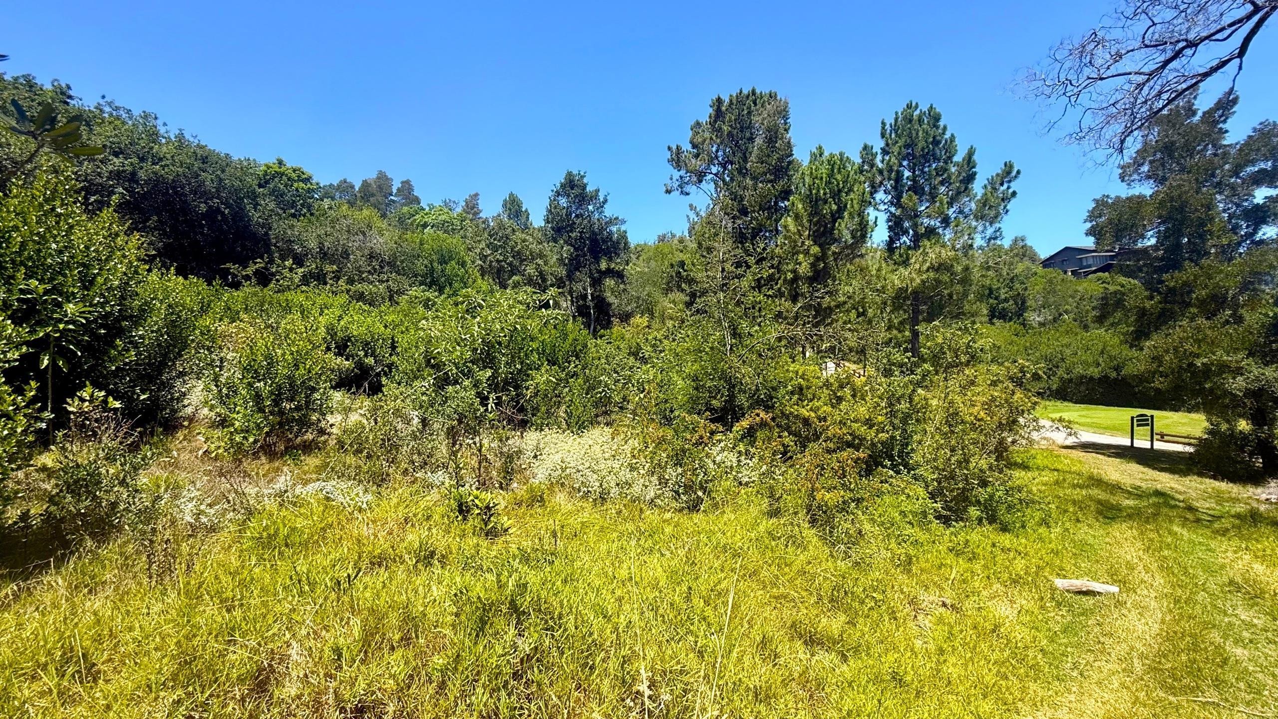 Image 4 of 6