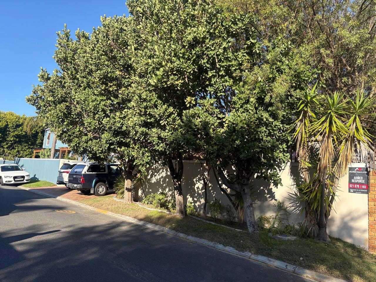Image 5 of 6