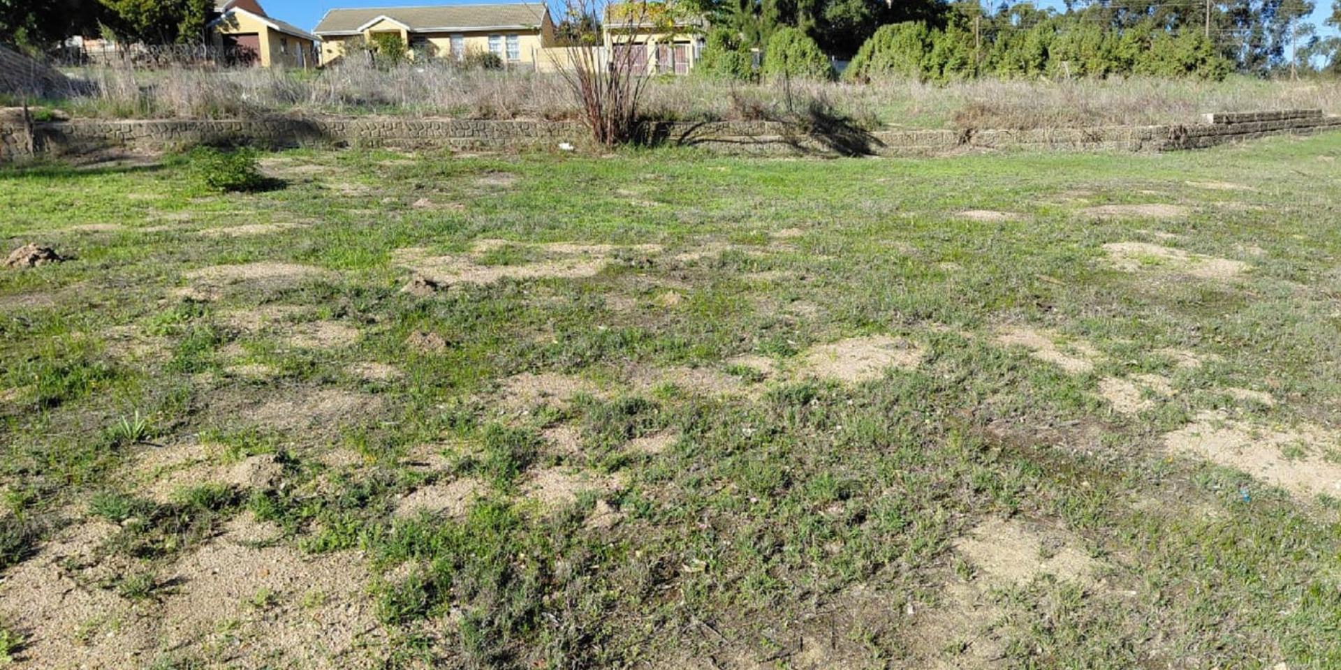 Image 3 of 6