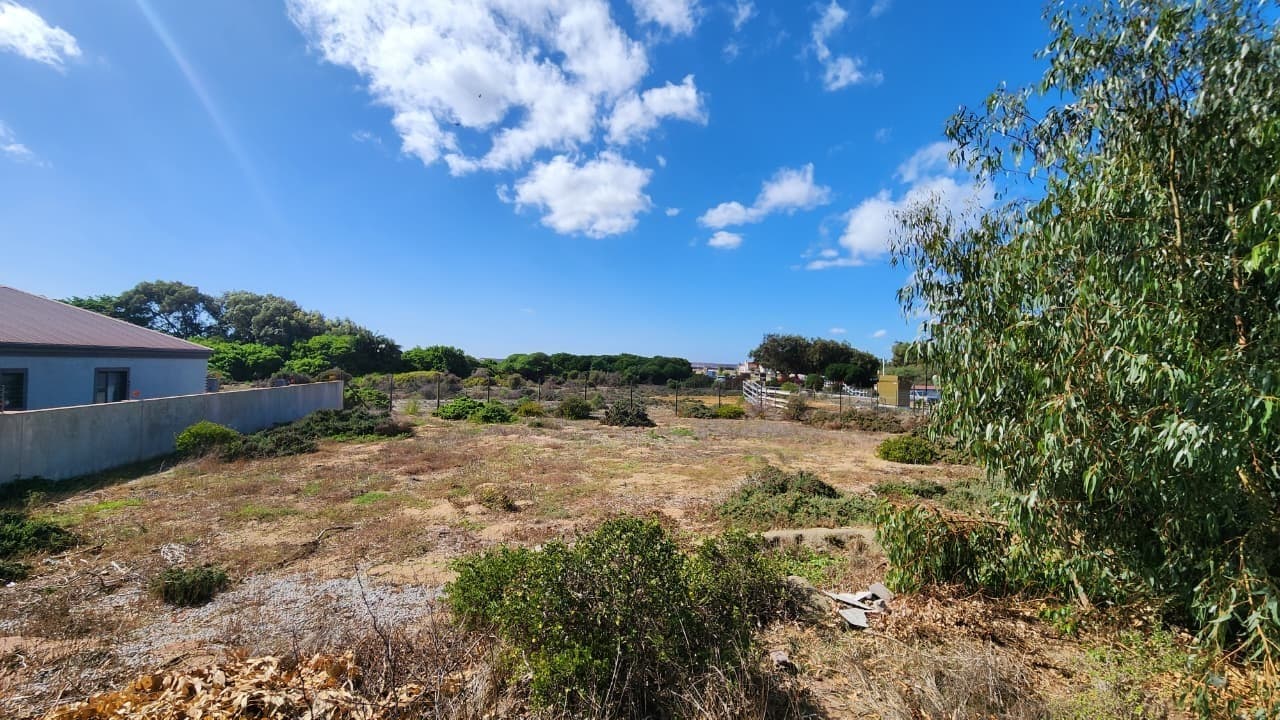 Image 13