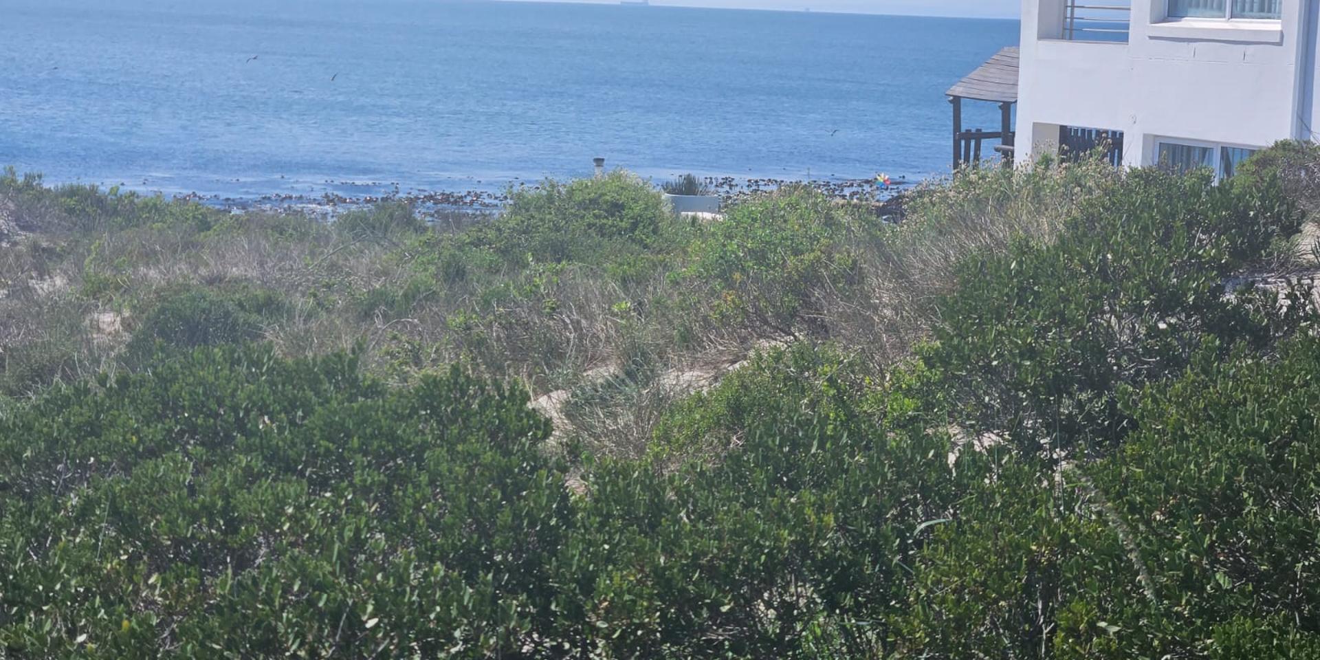 Image 3 of 6