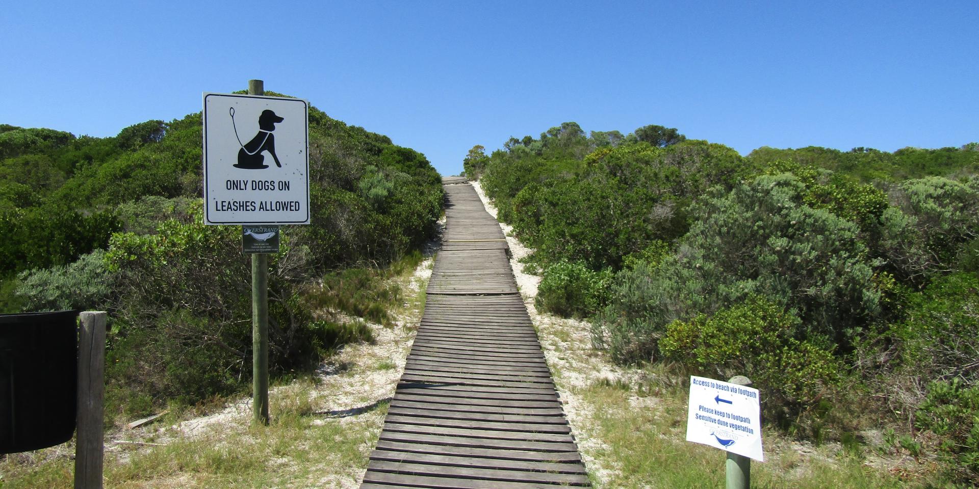 Image 4 of 6