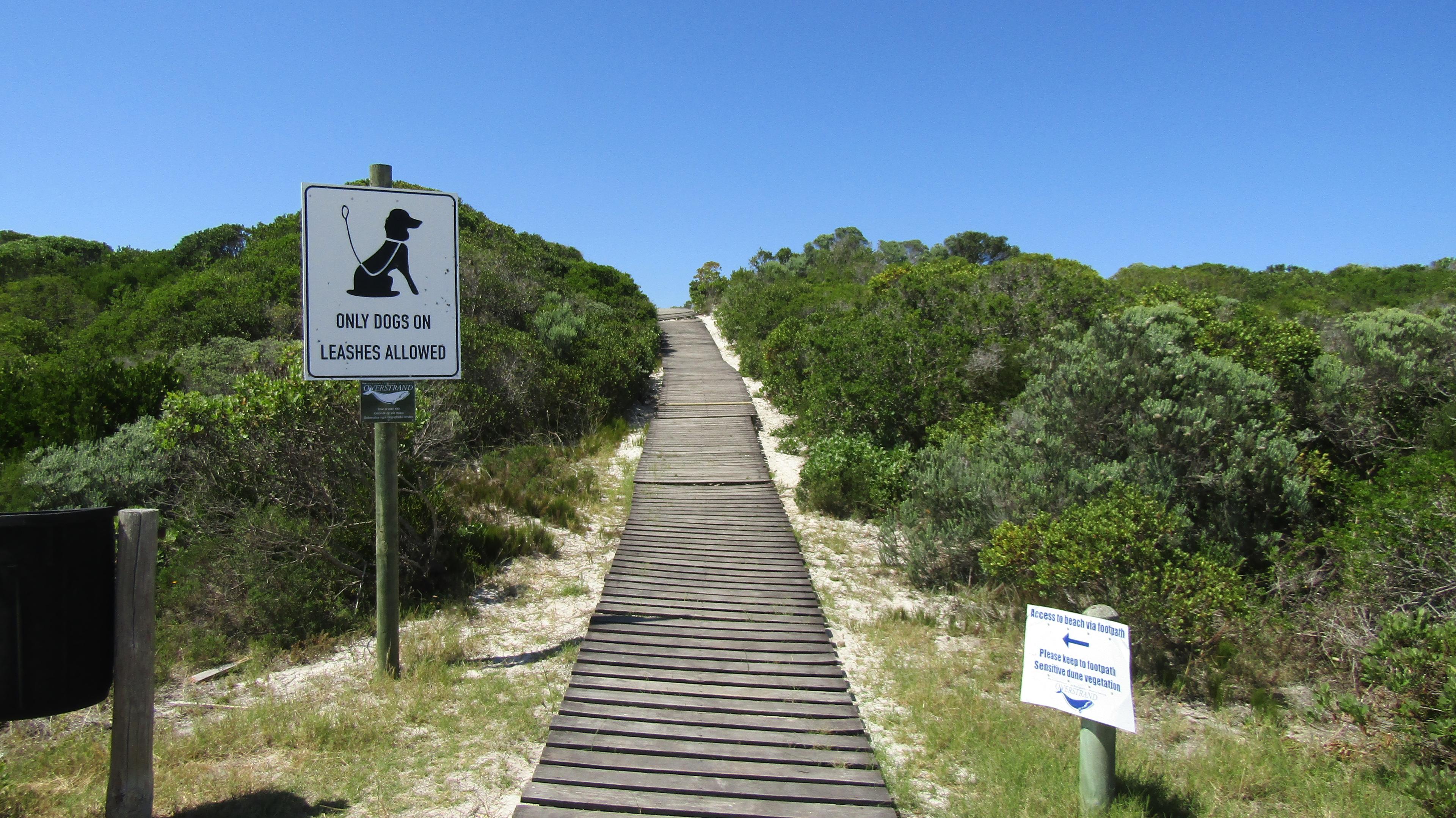 Image 4 of 6