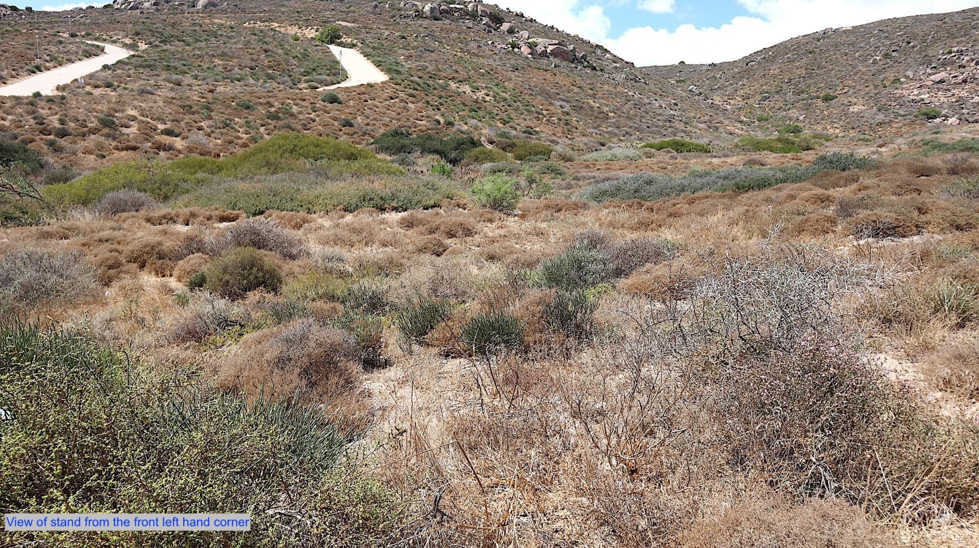 Image 5 of 6