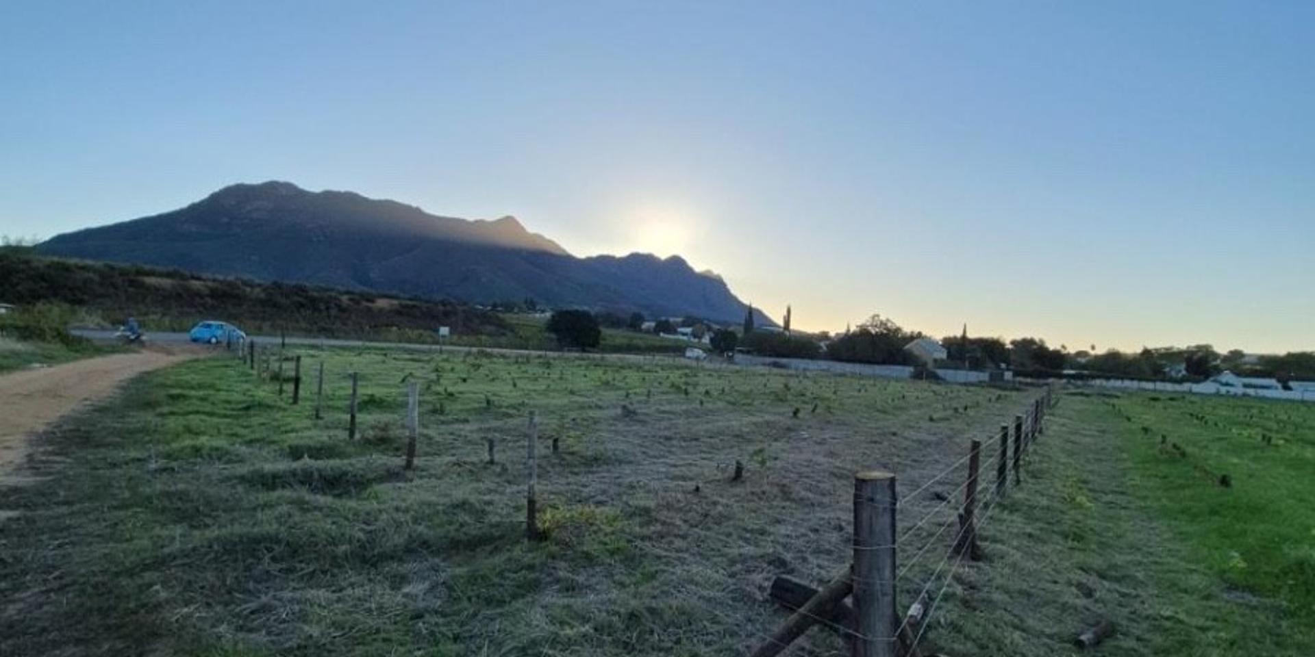 Image 5 of 6