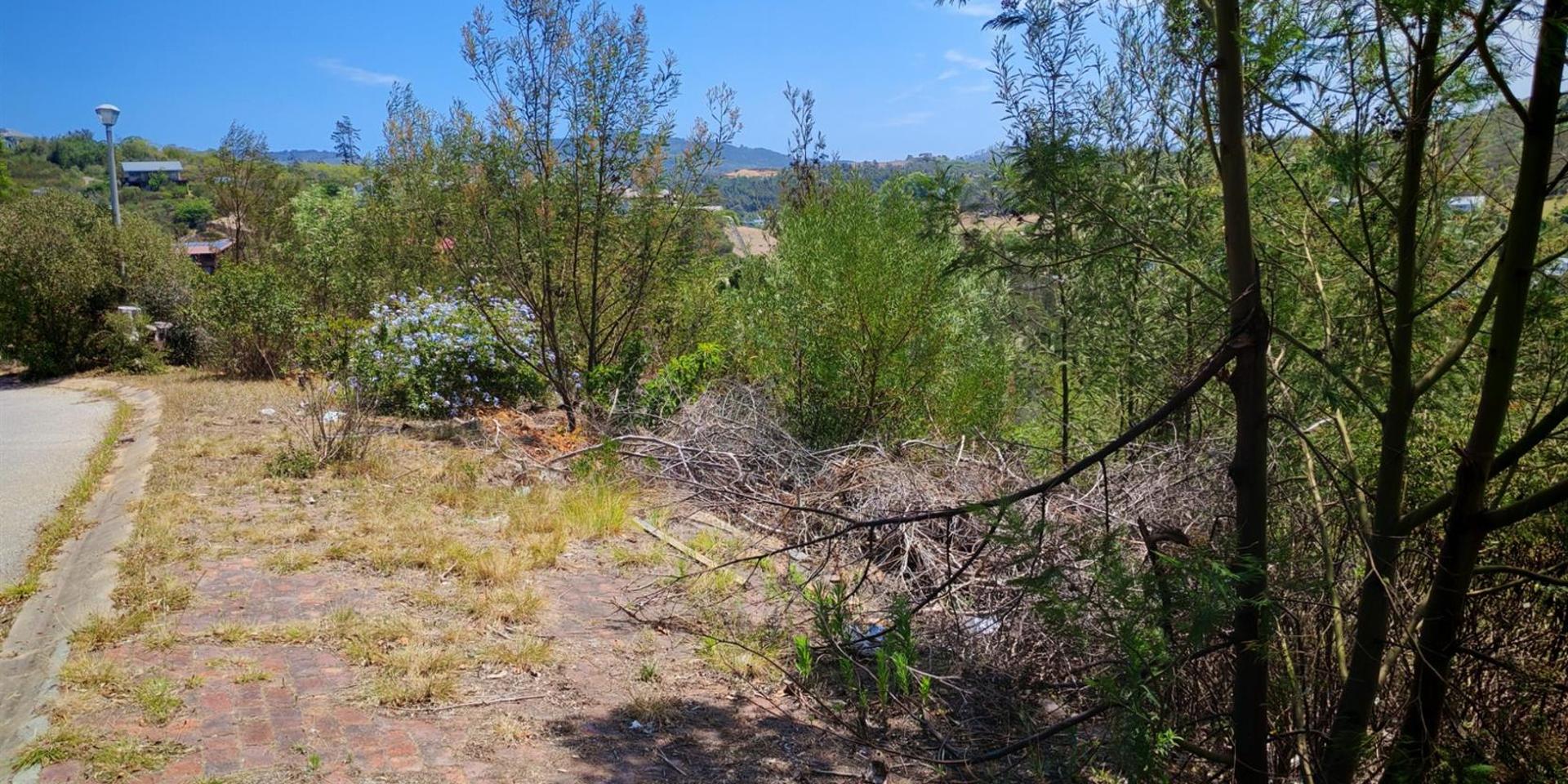 Image 5 of 6