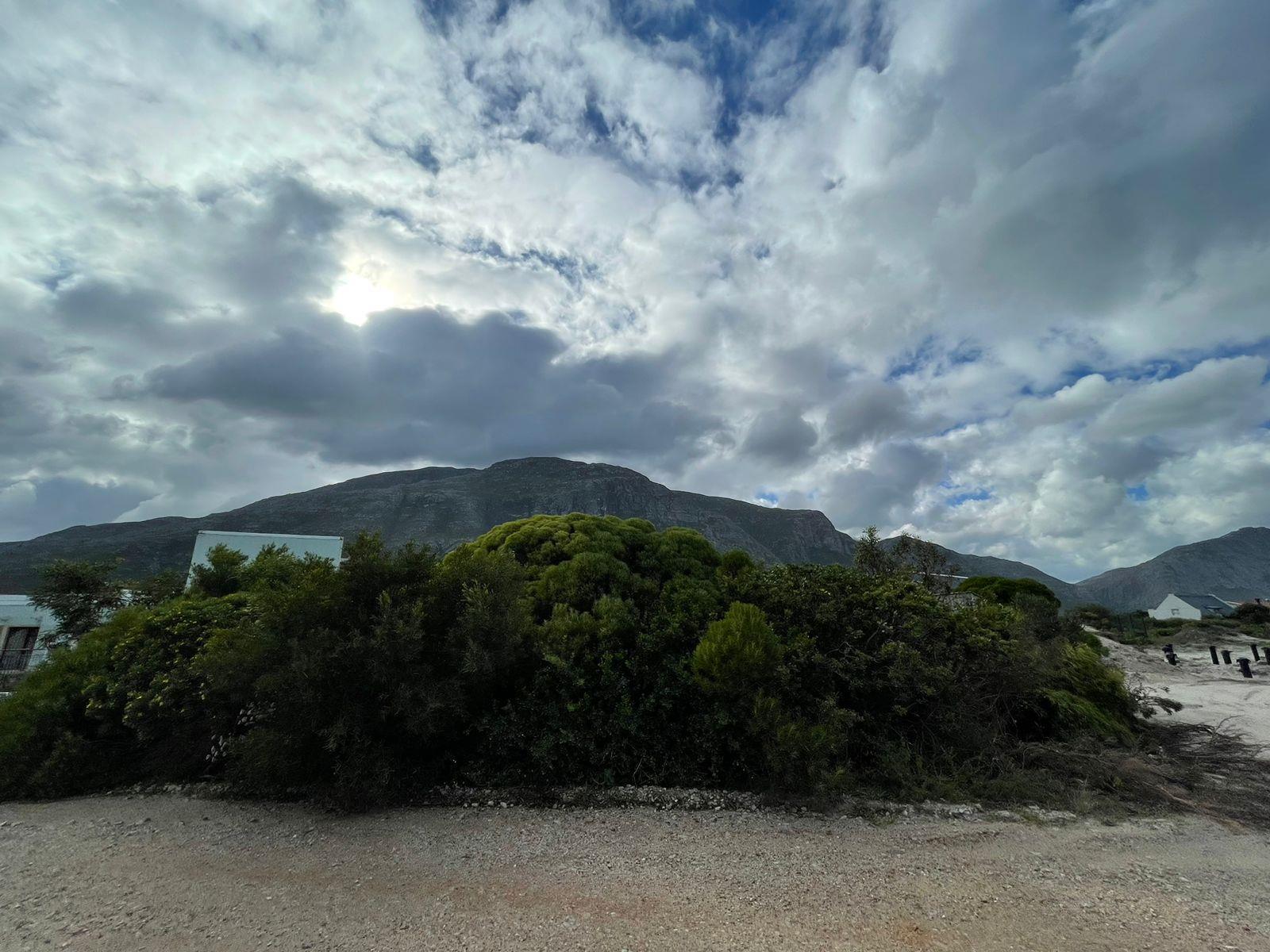 Image 5 of 6