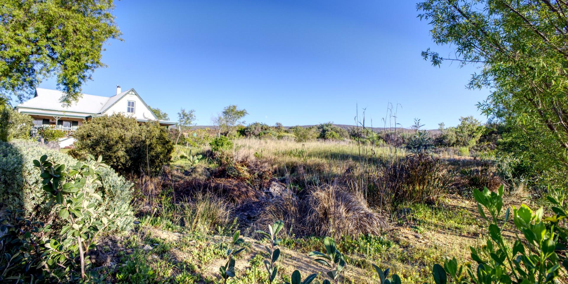 Image 4 of 6