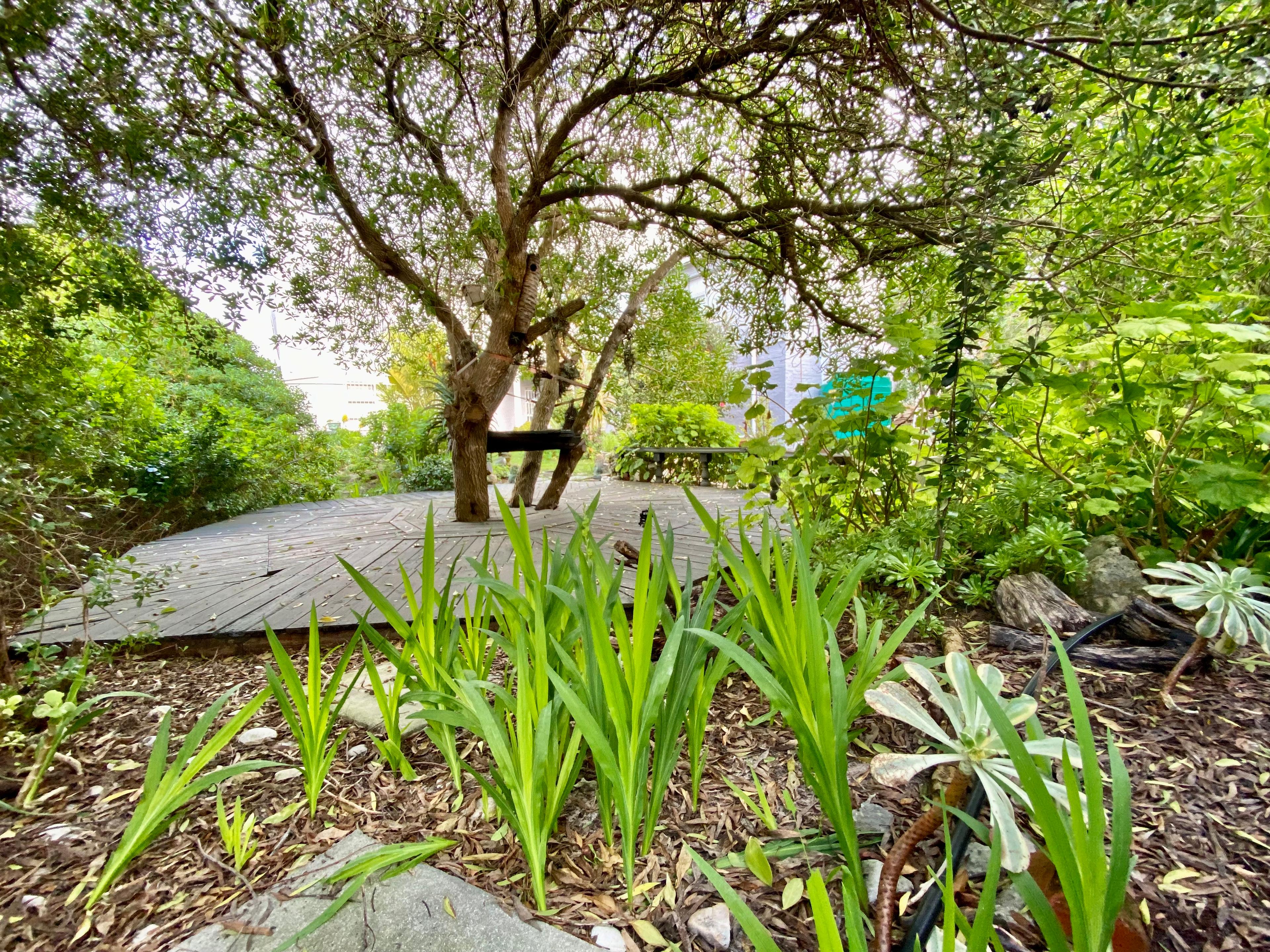 Image 20