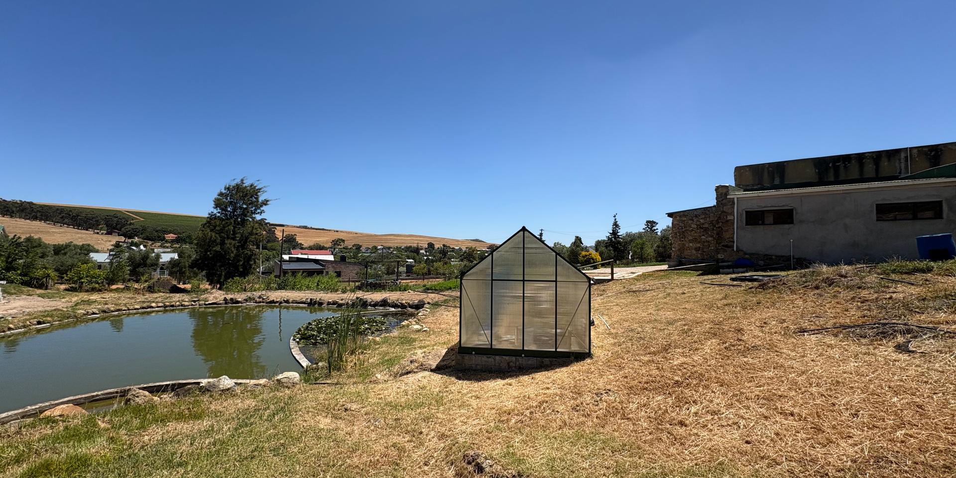 Image 2 of 6