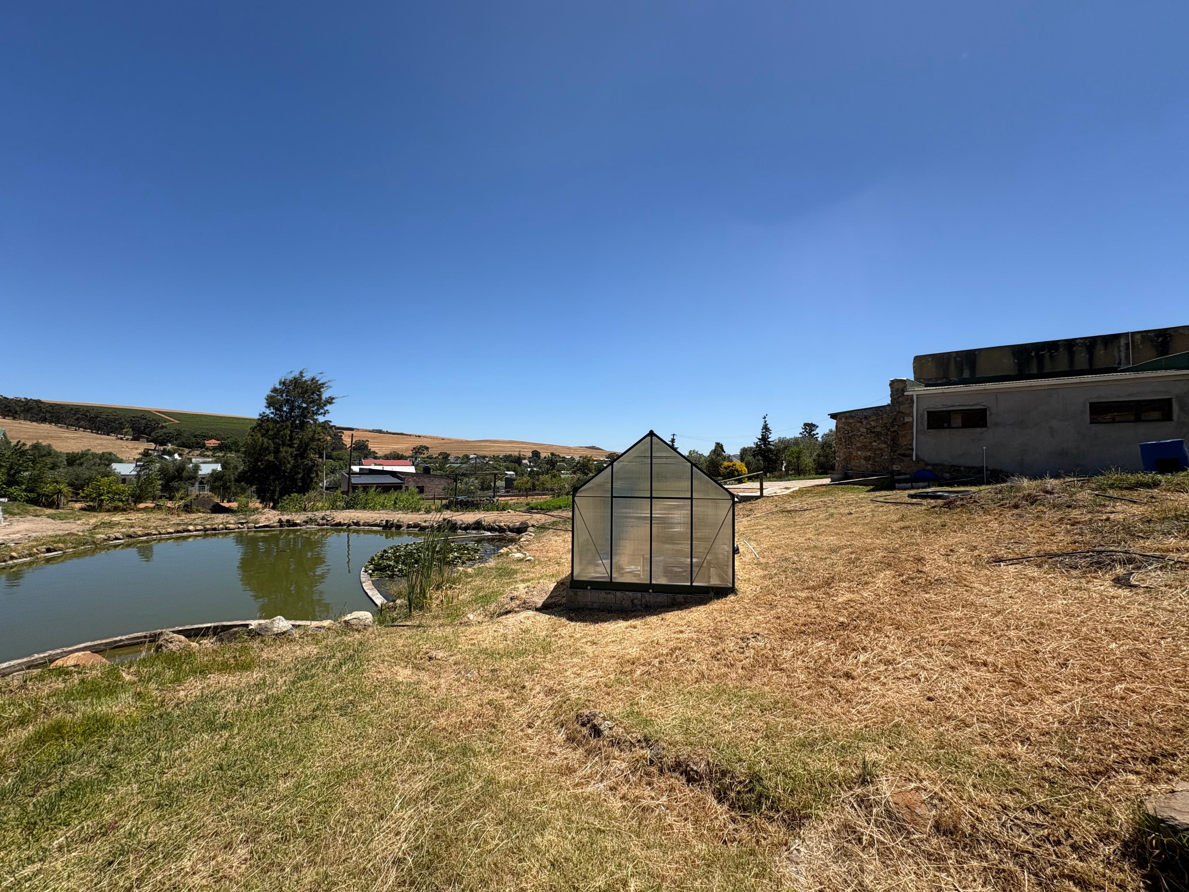 Image 2 of 6