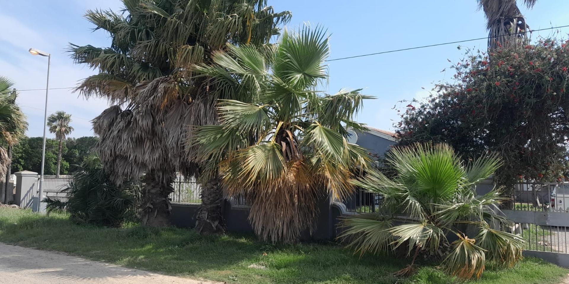 Image 2 of 6
