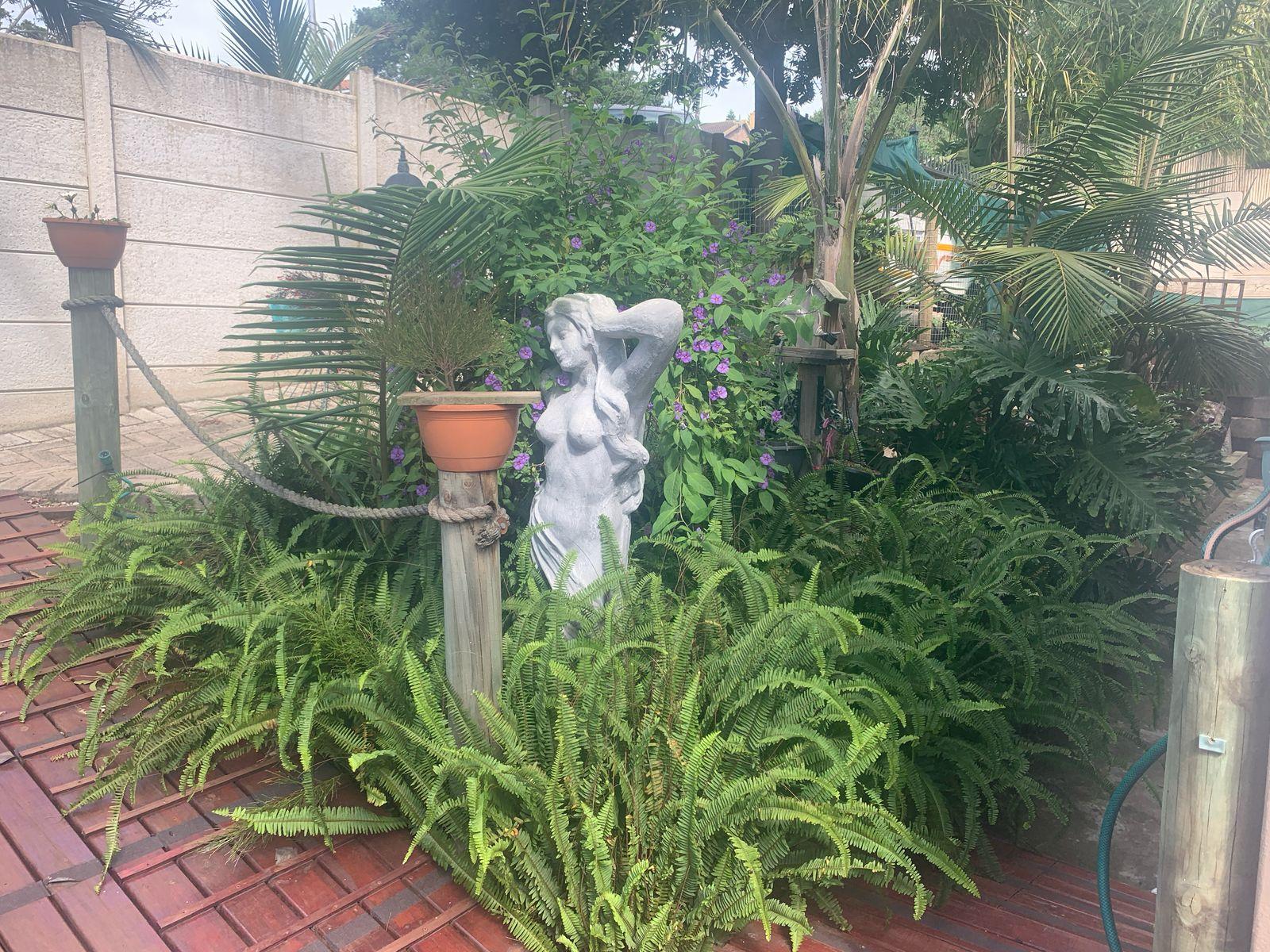 Image 15