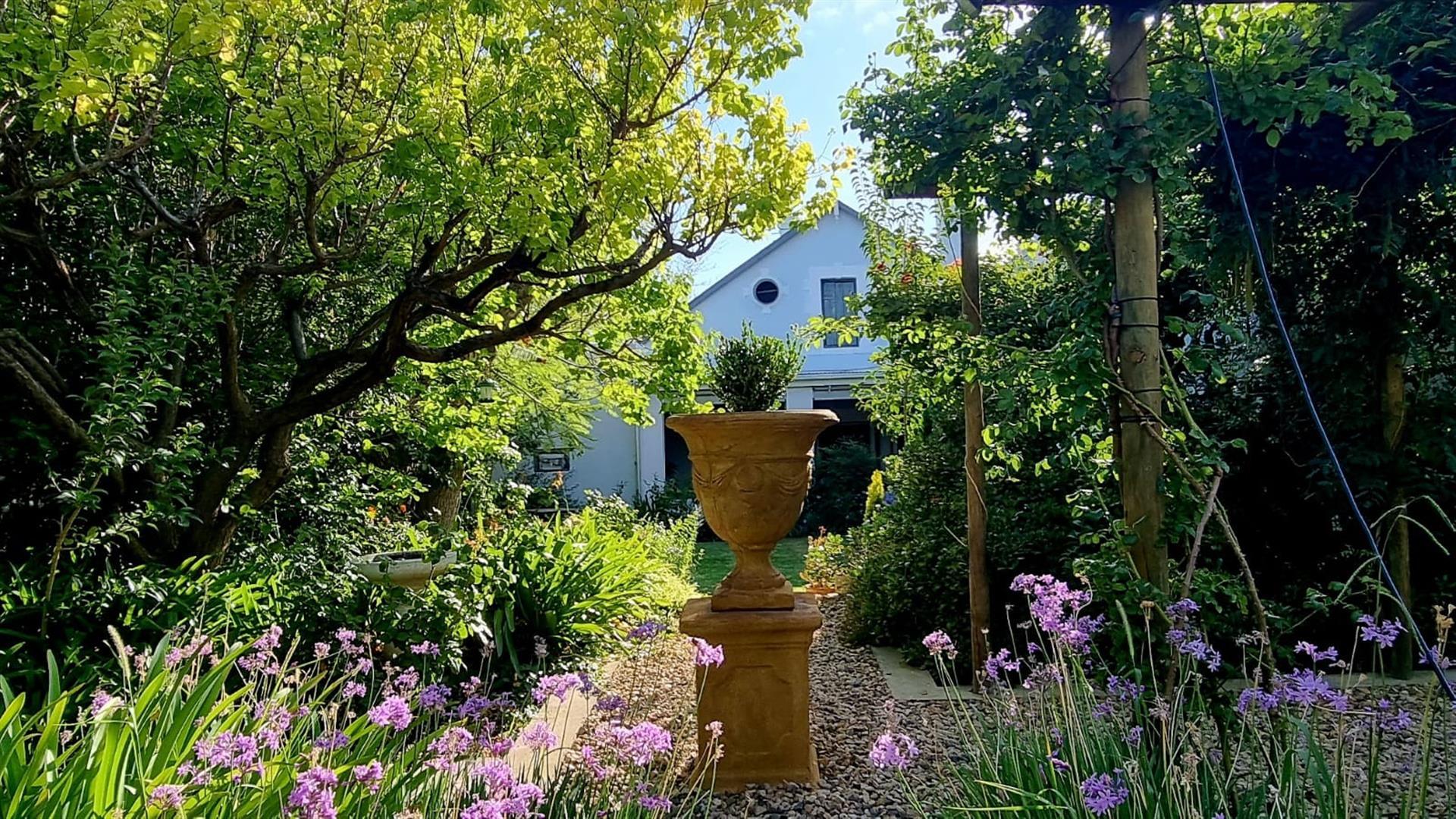 Image 37