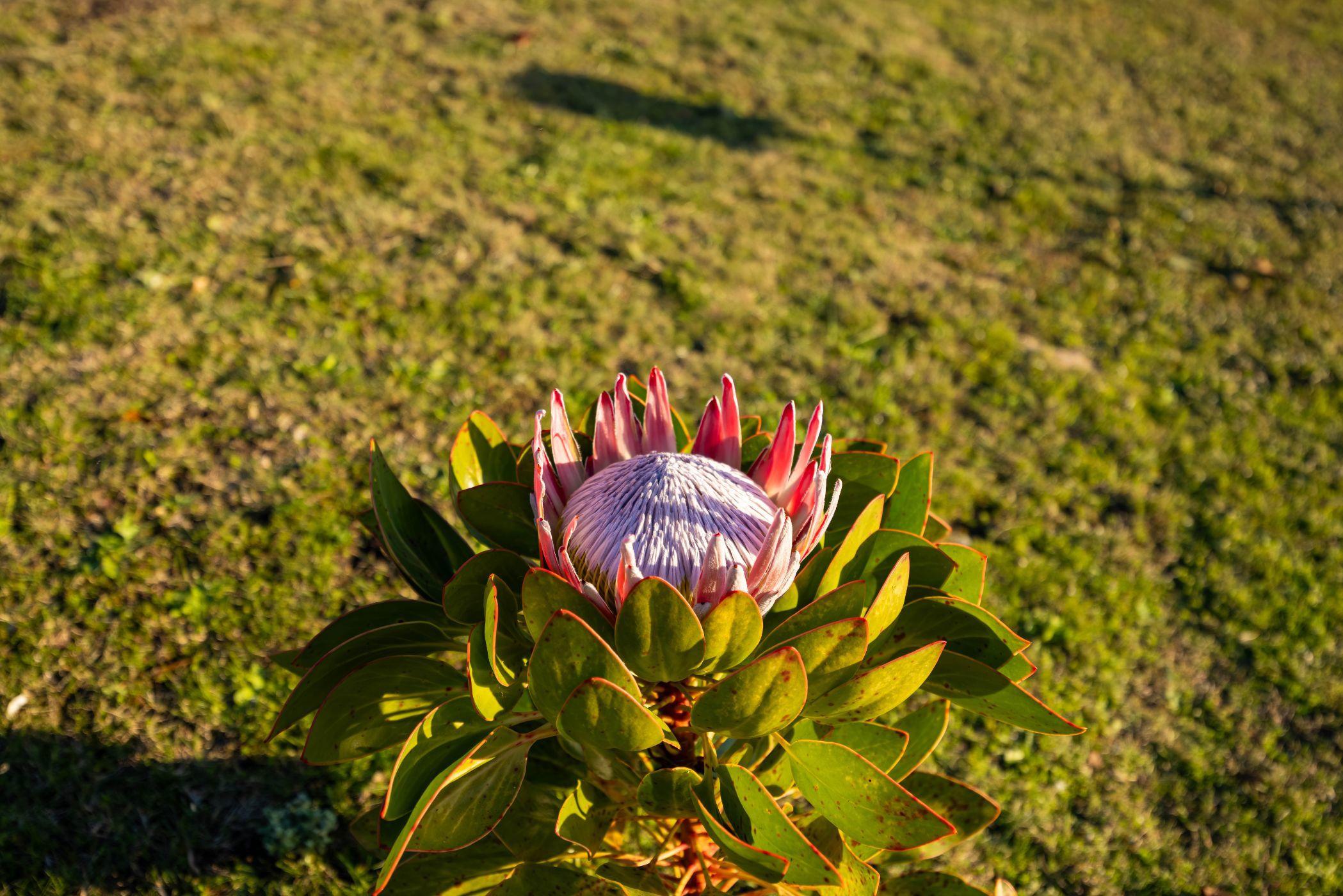 Image 5 of 6