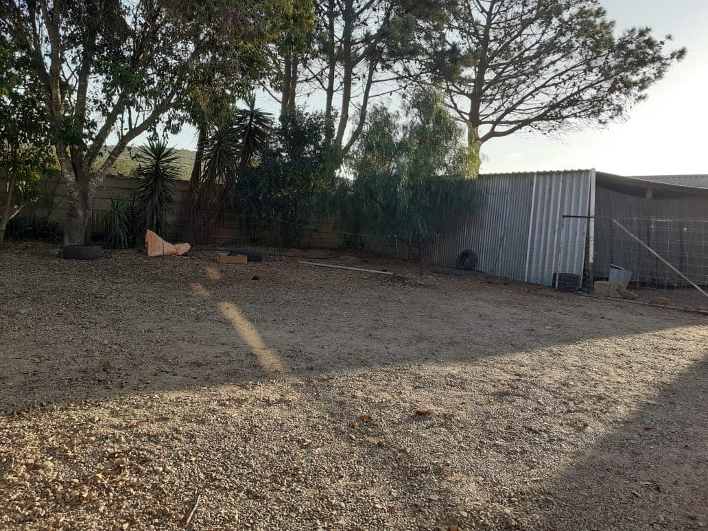 Image 50