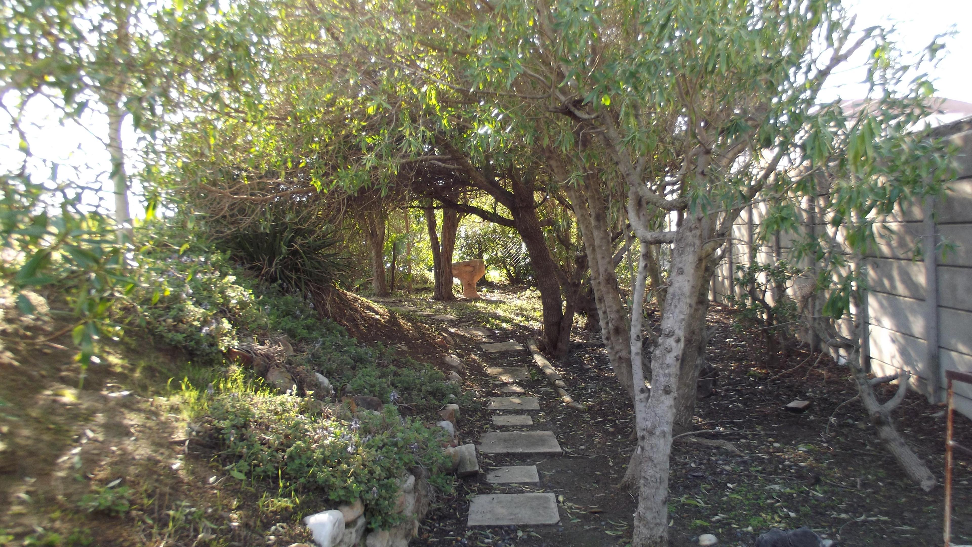 Image 19