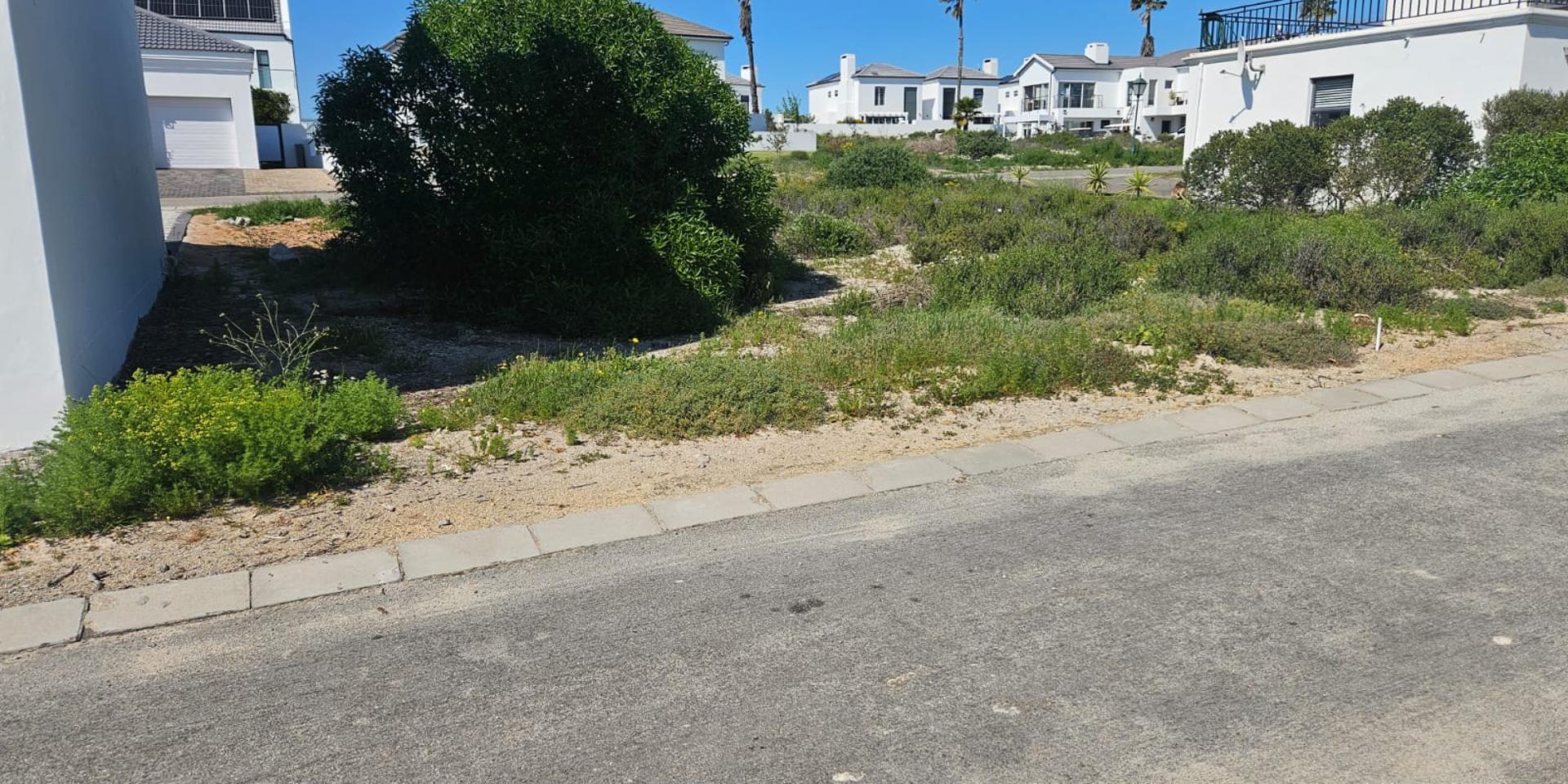 Image 2 of 6