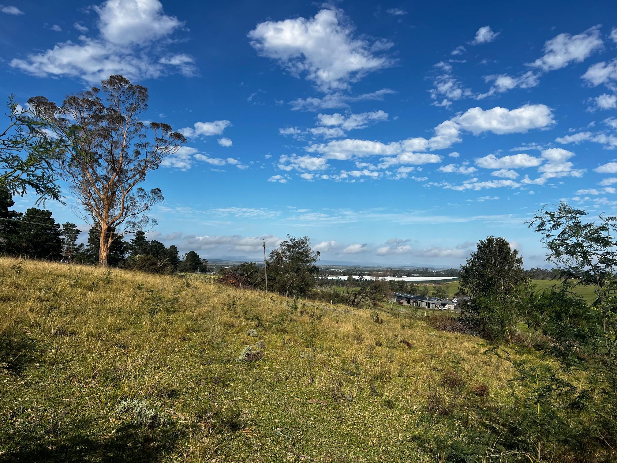 Image 2 of 6