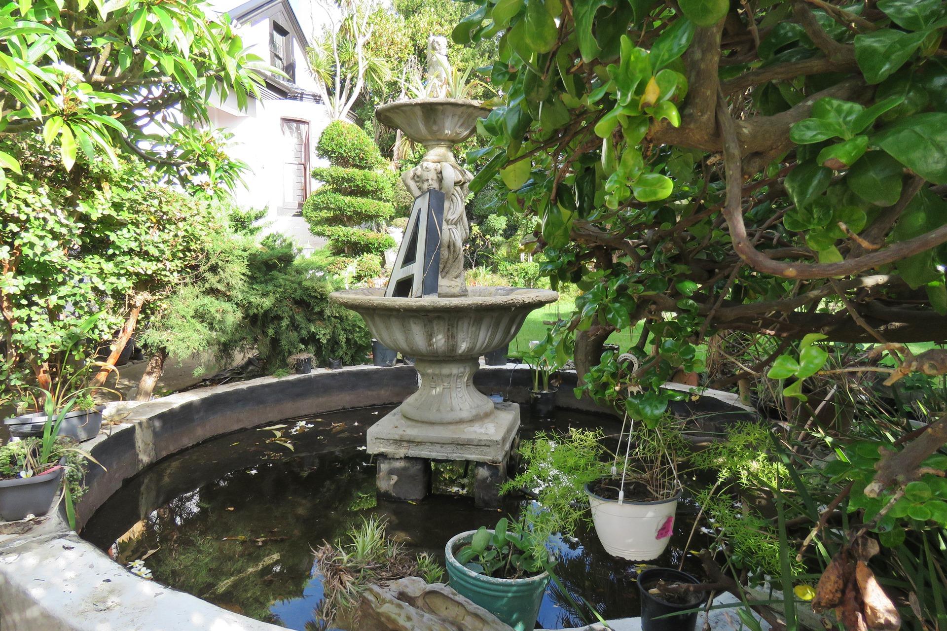Image 18