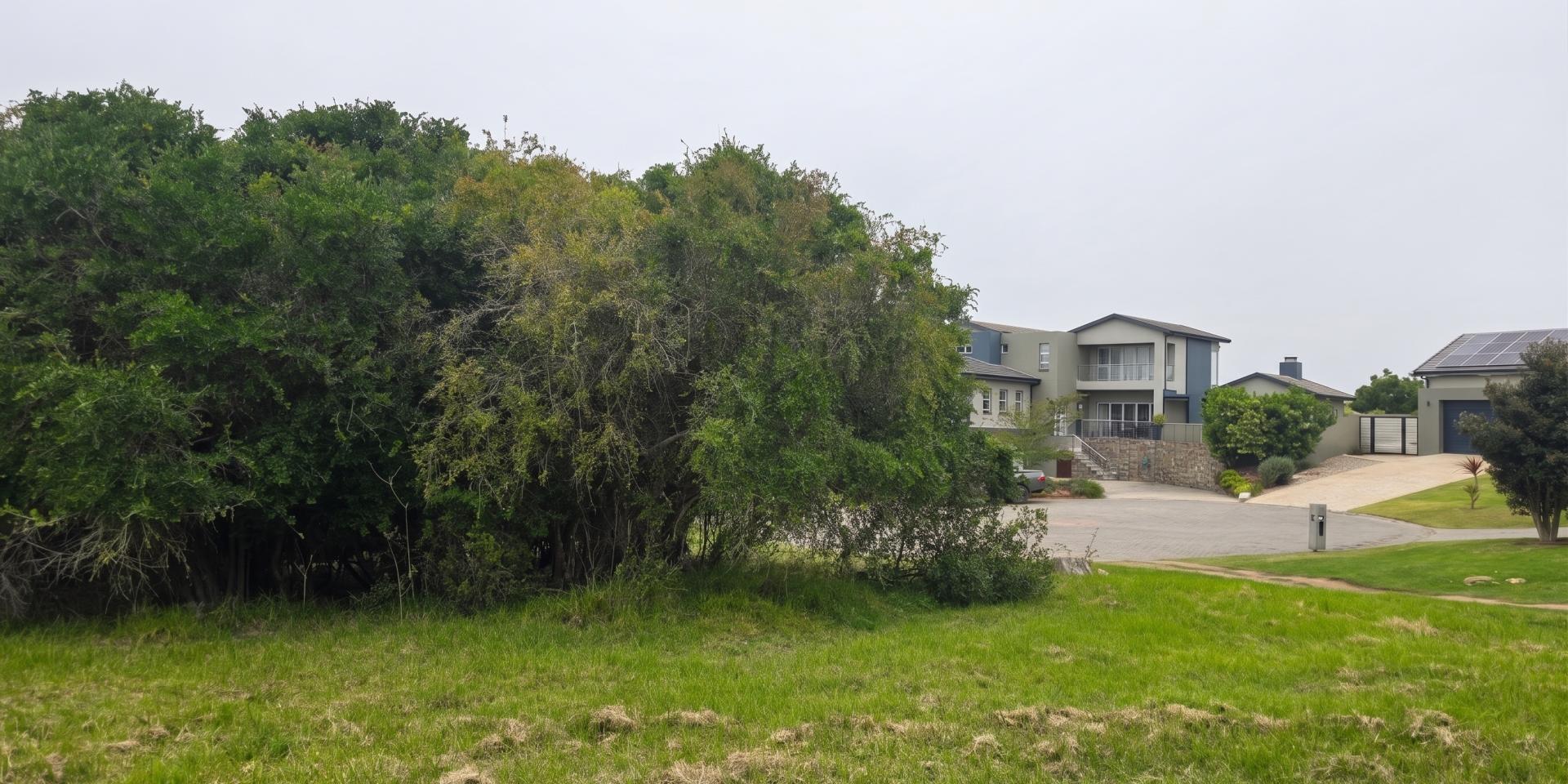 Image 5 of 6