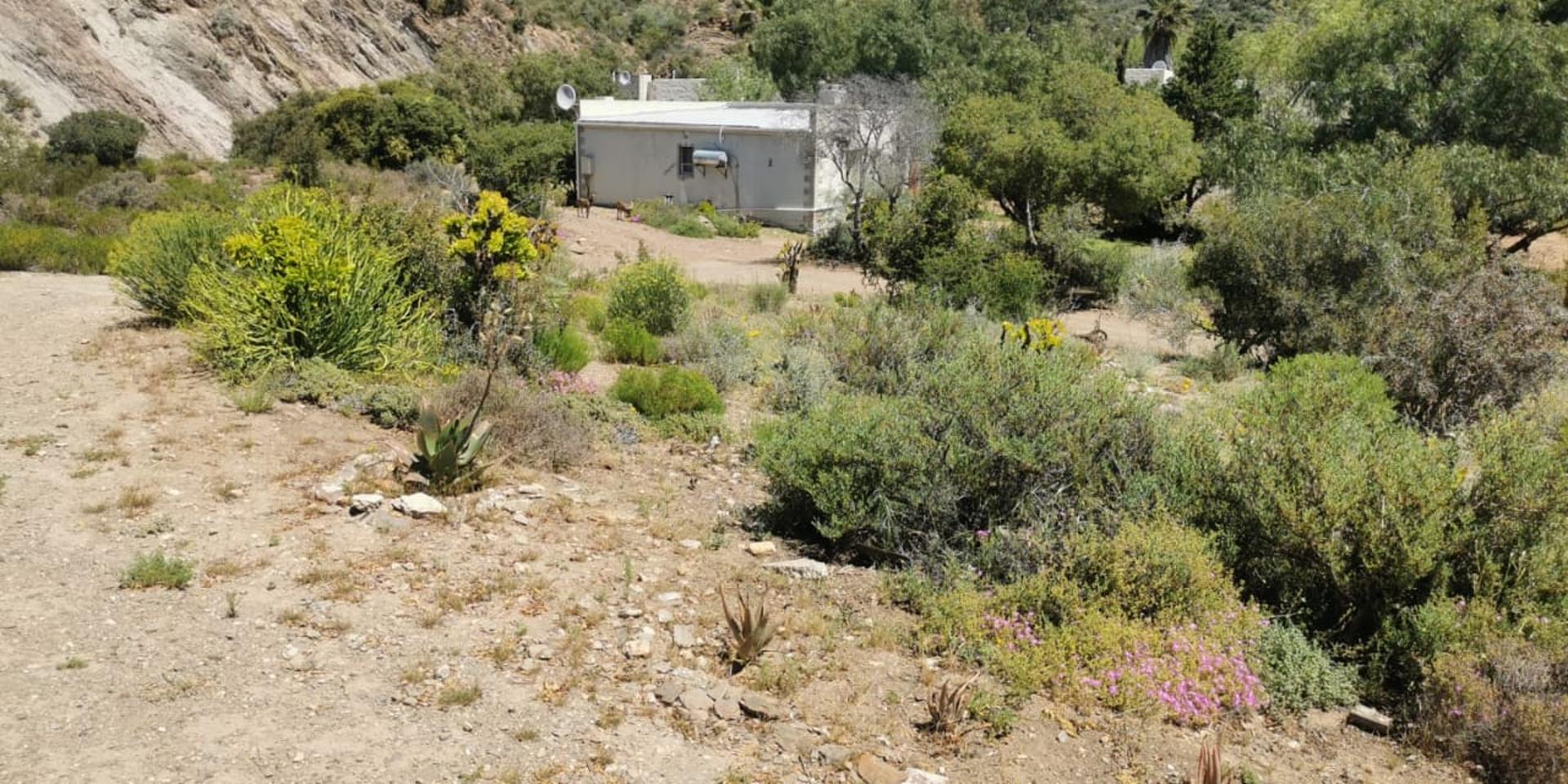 Image 2 of 6