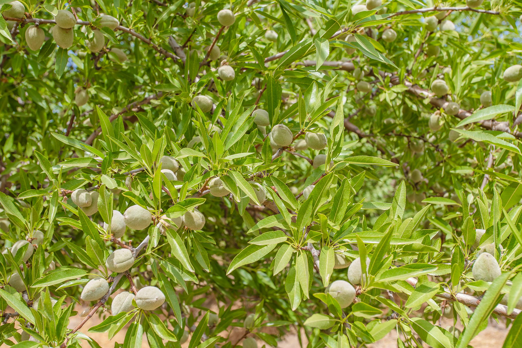 Image 95