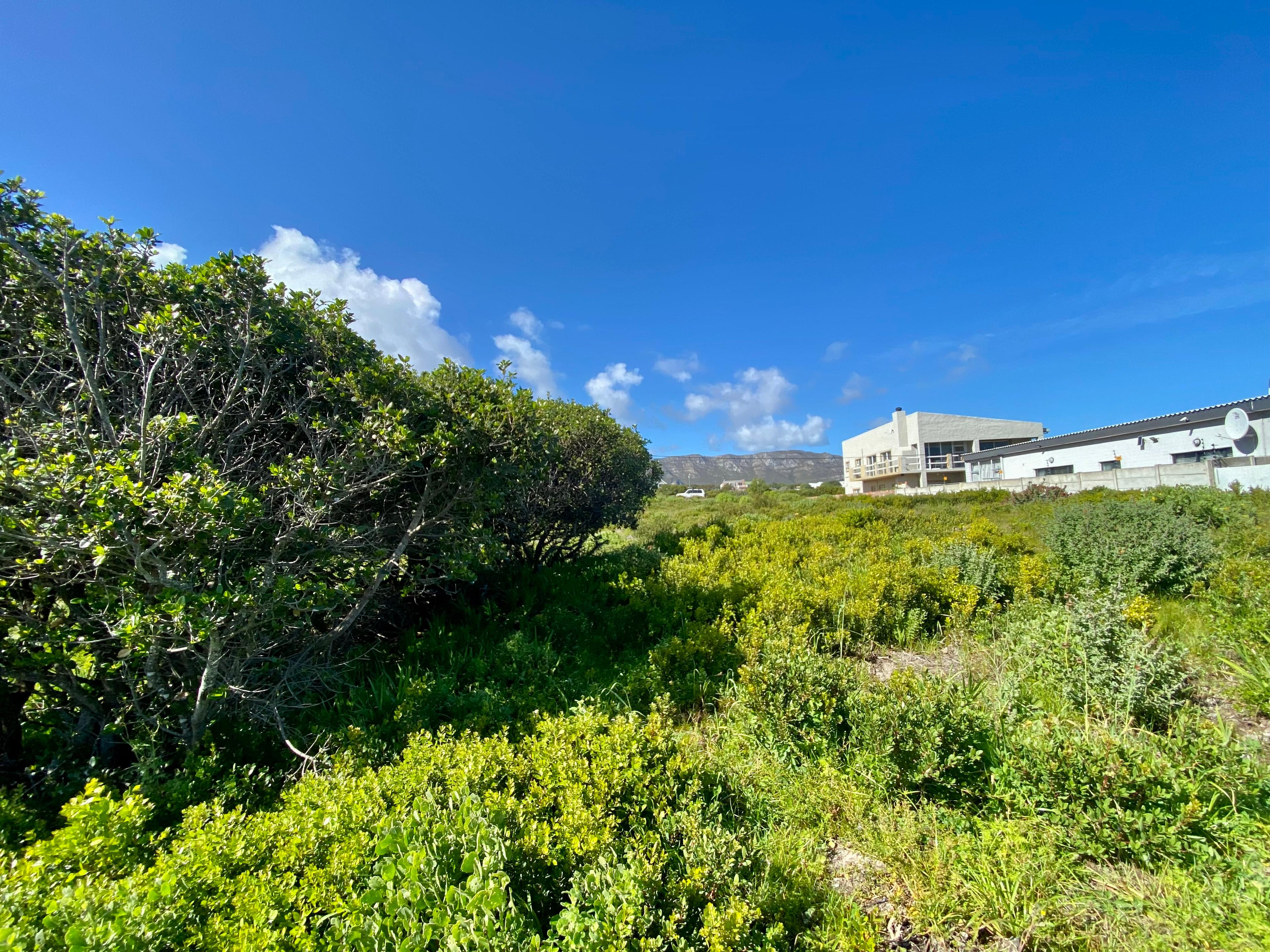 Image 4 of 6