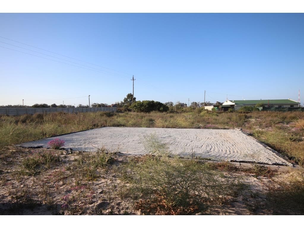 Image 15