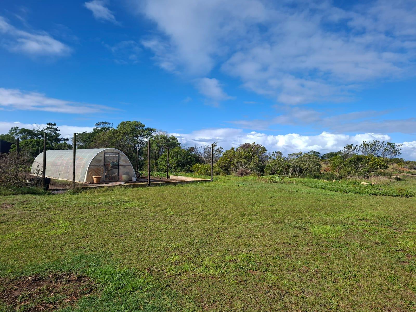 Image 2 of 6