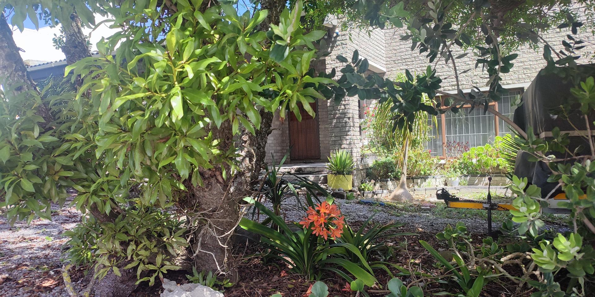 Image 3 of 6