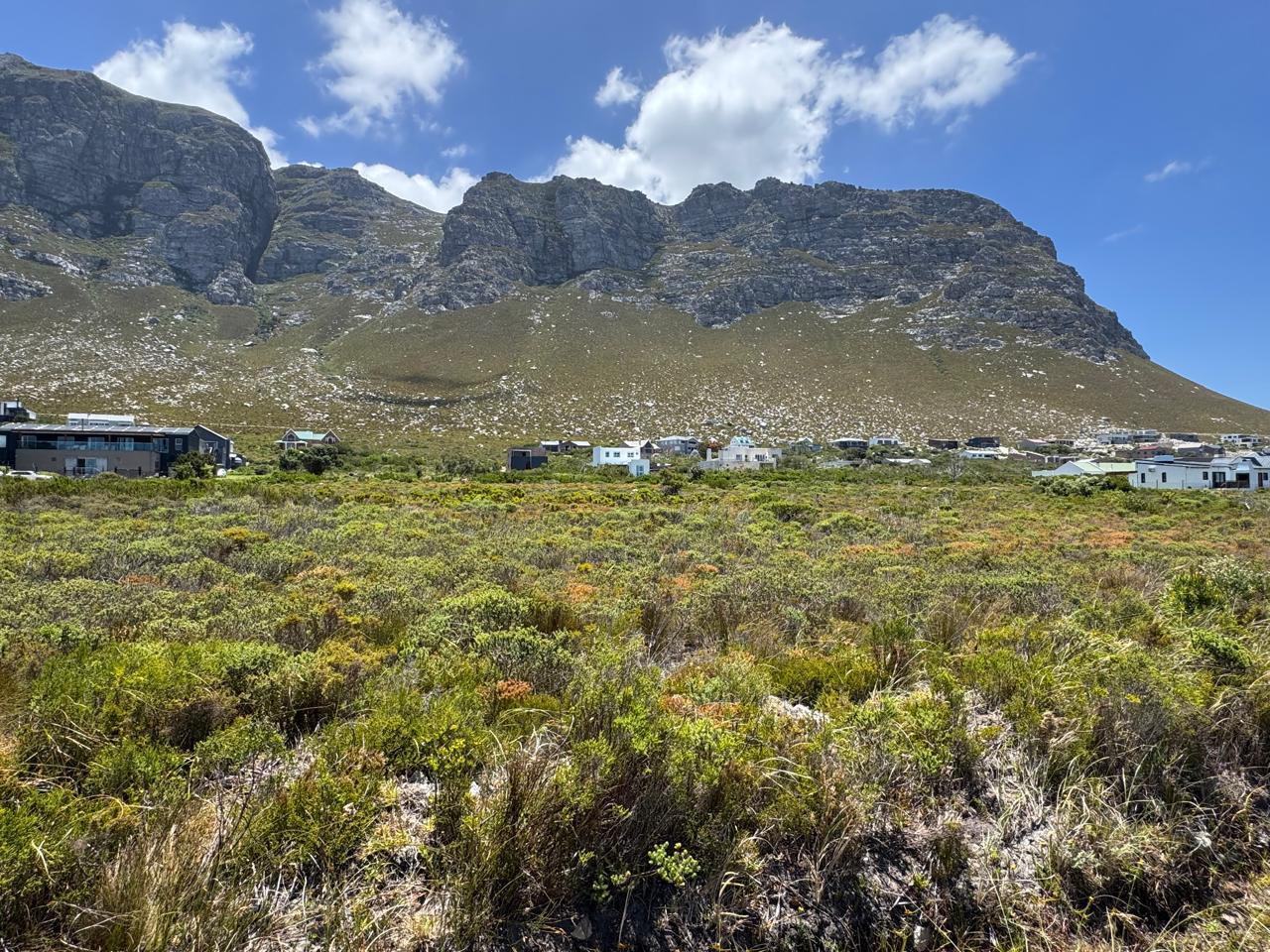 Image 13