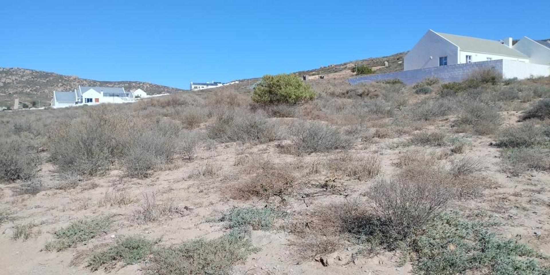 Image 3 of 6