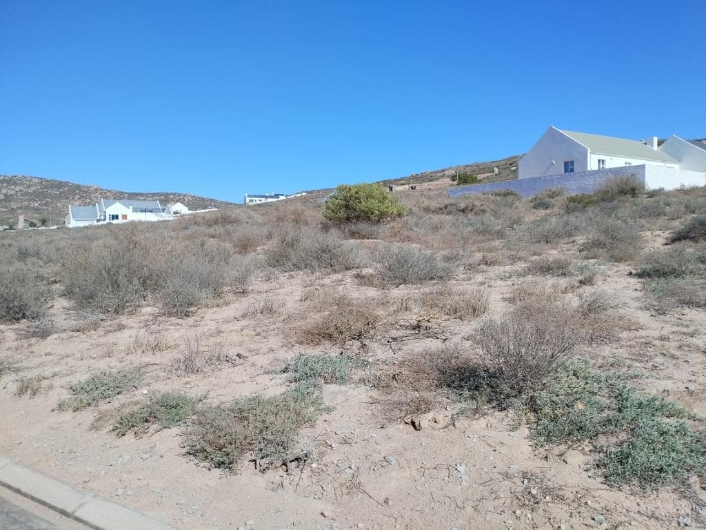 Image 3 of 6