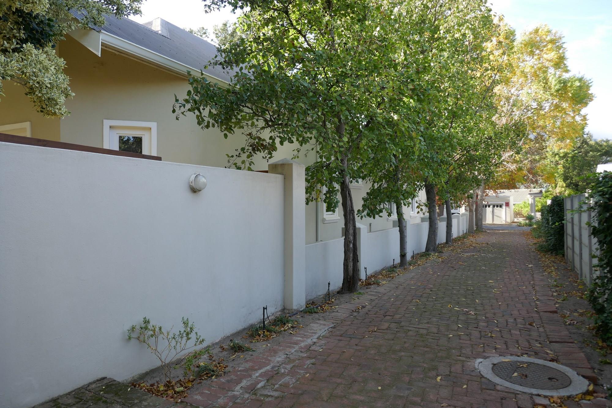 Image 29