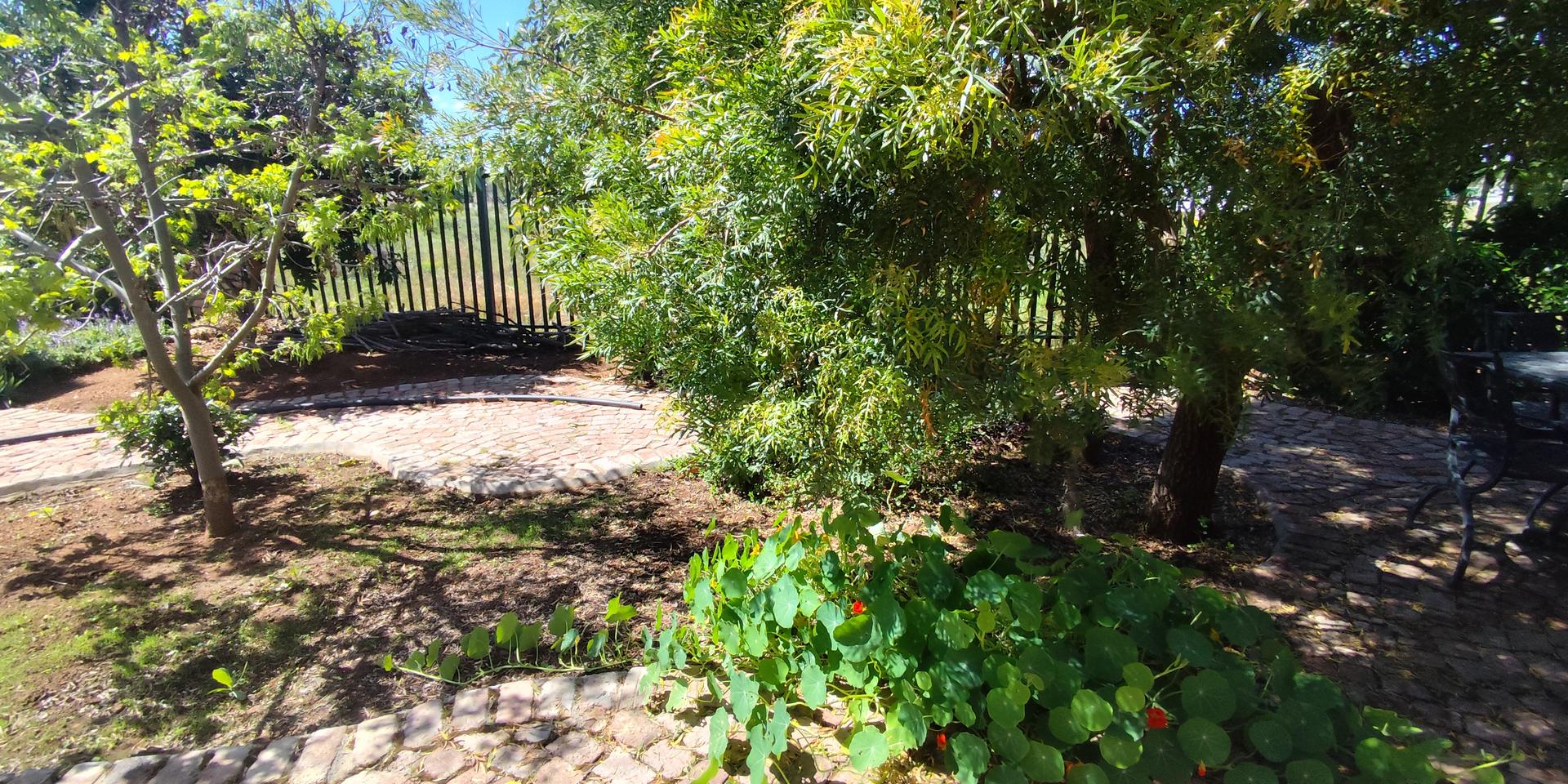 Image 4 of 6