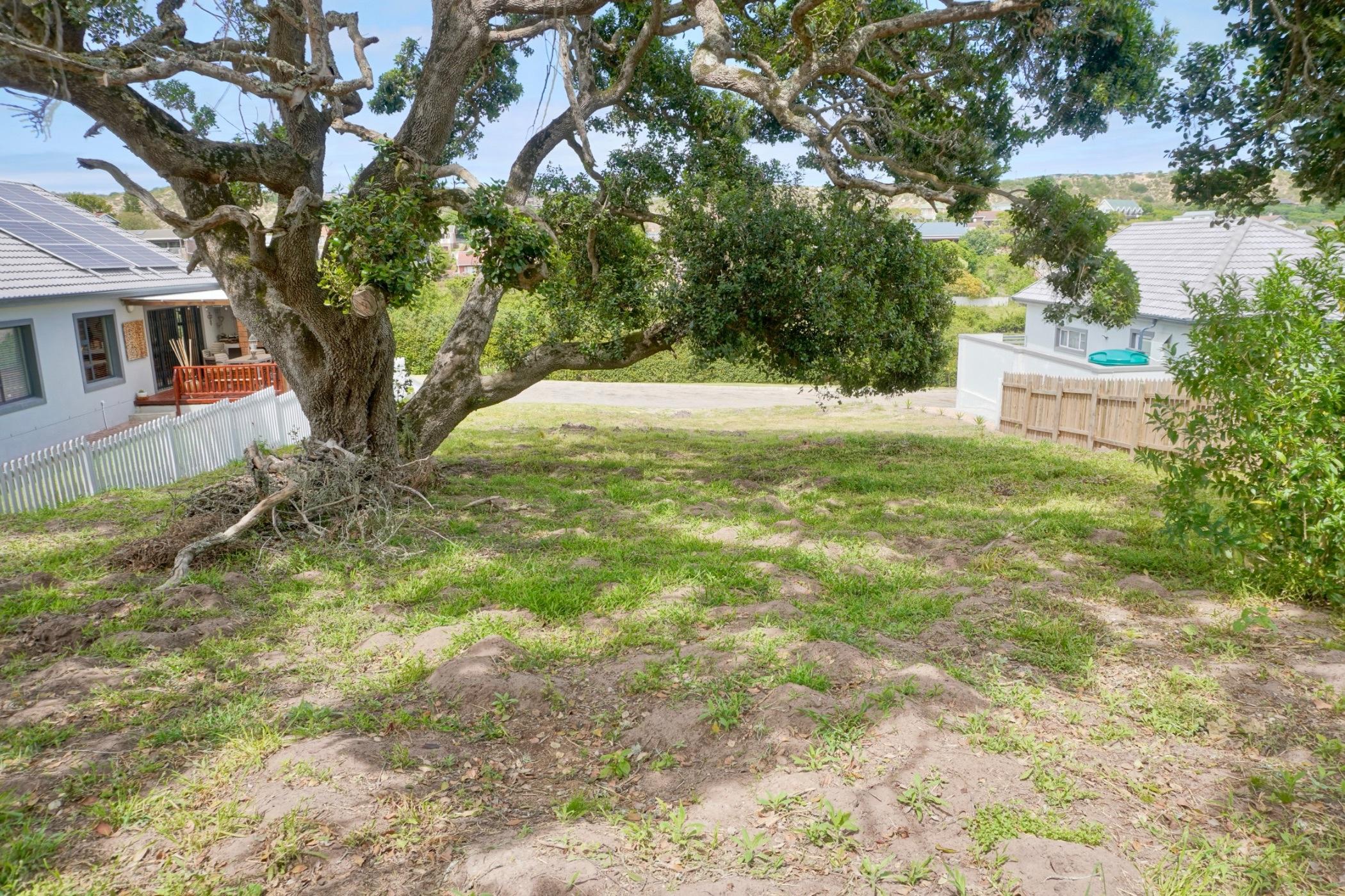 Image 4 of 6