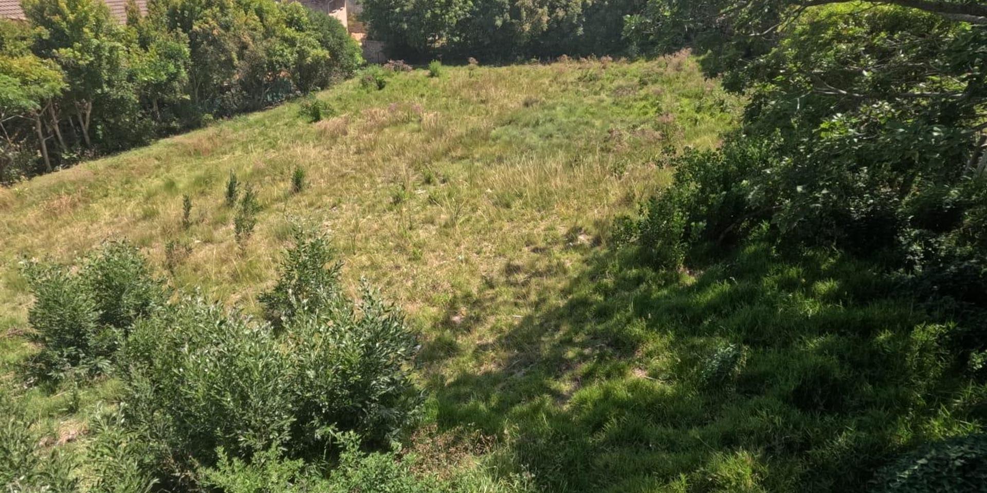Image 4 of 6