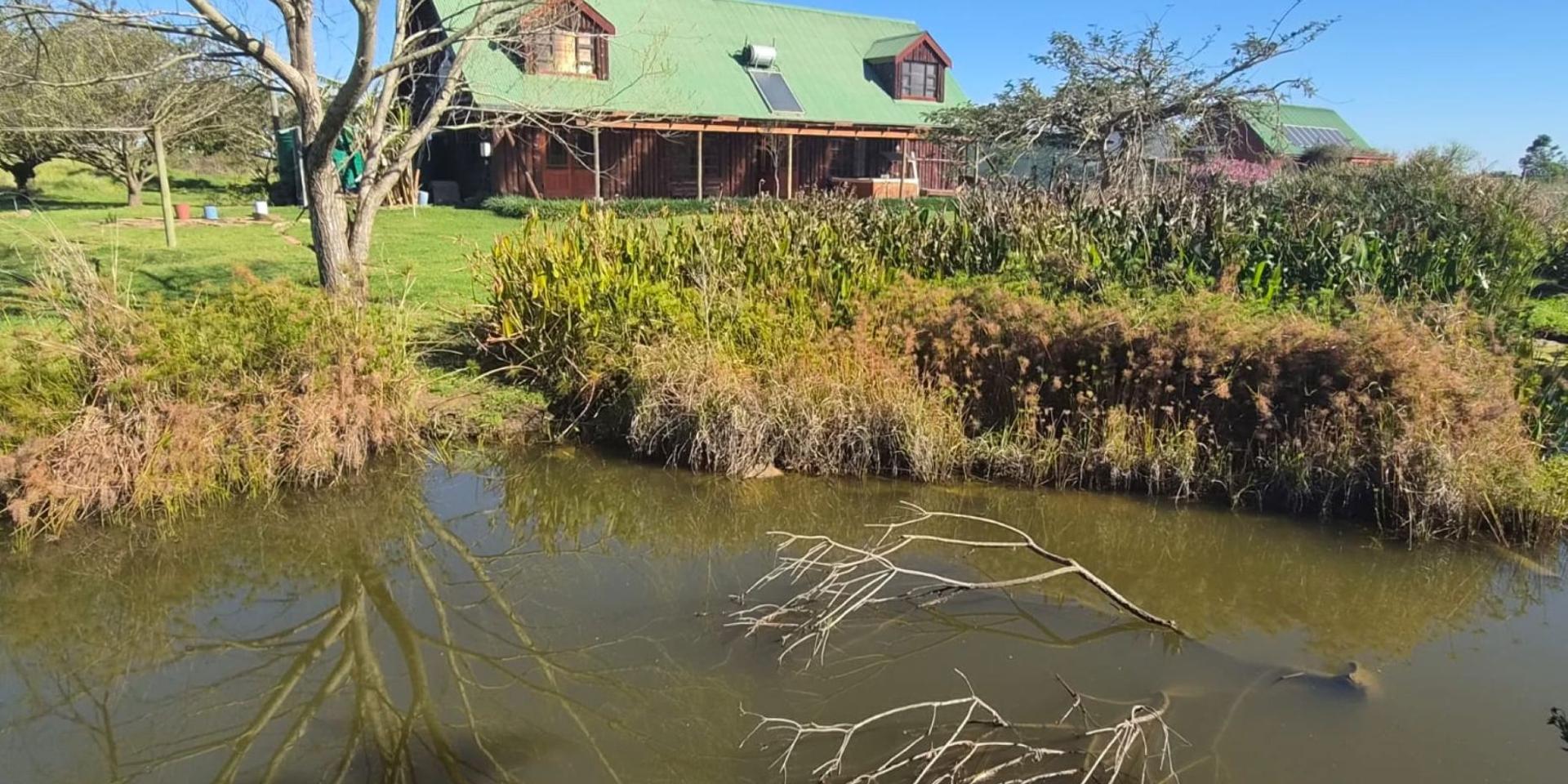 Image 2 of 6