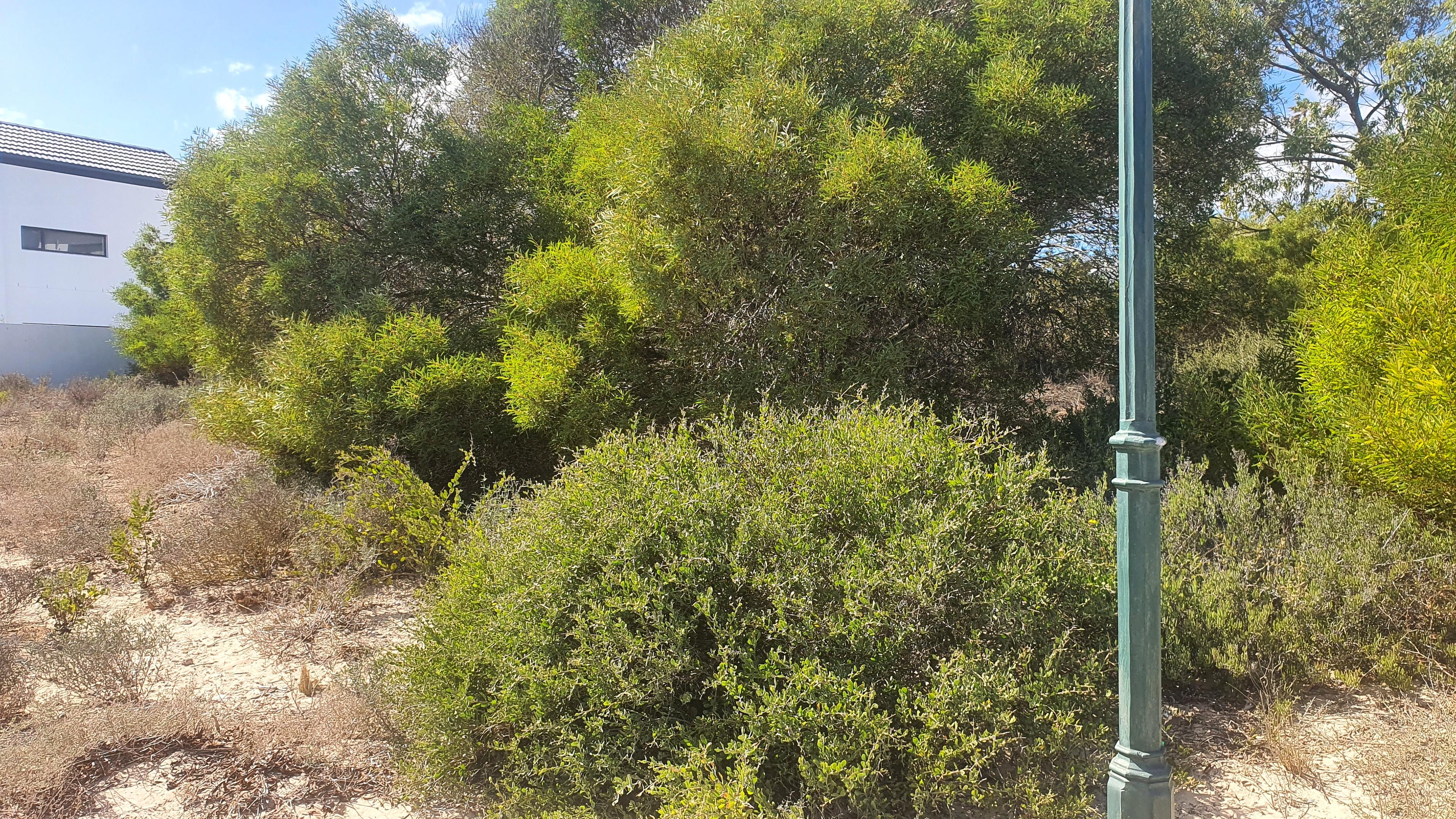 Image 2 of 6