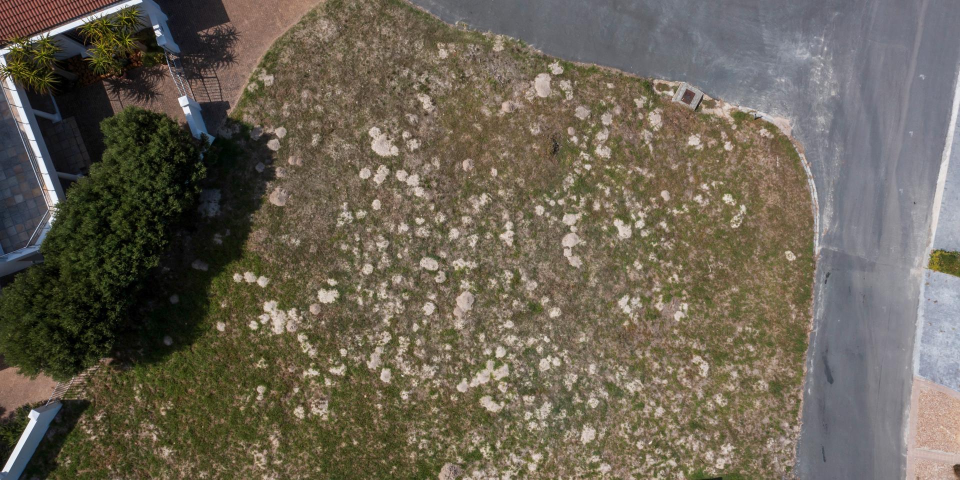Image 4 of 6