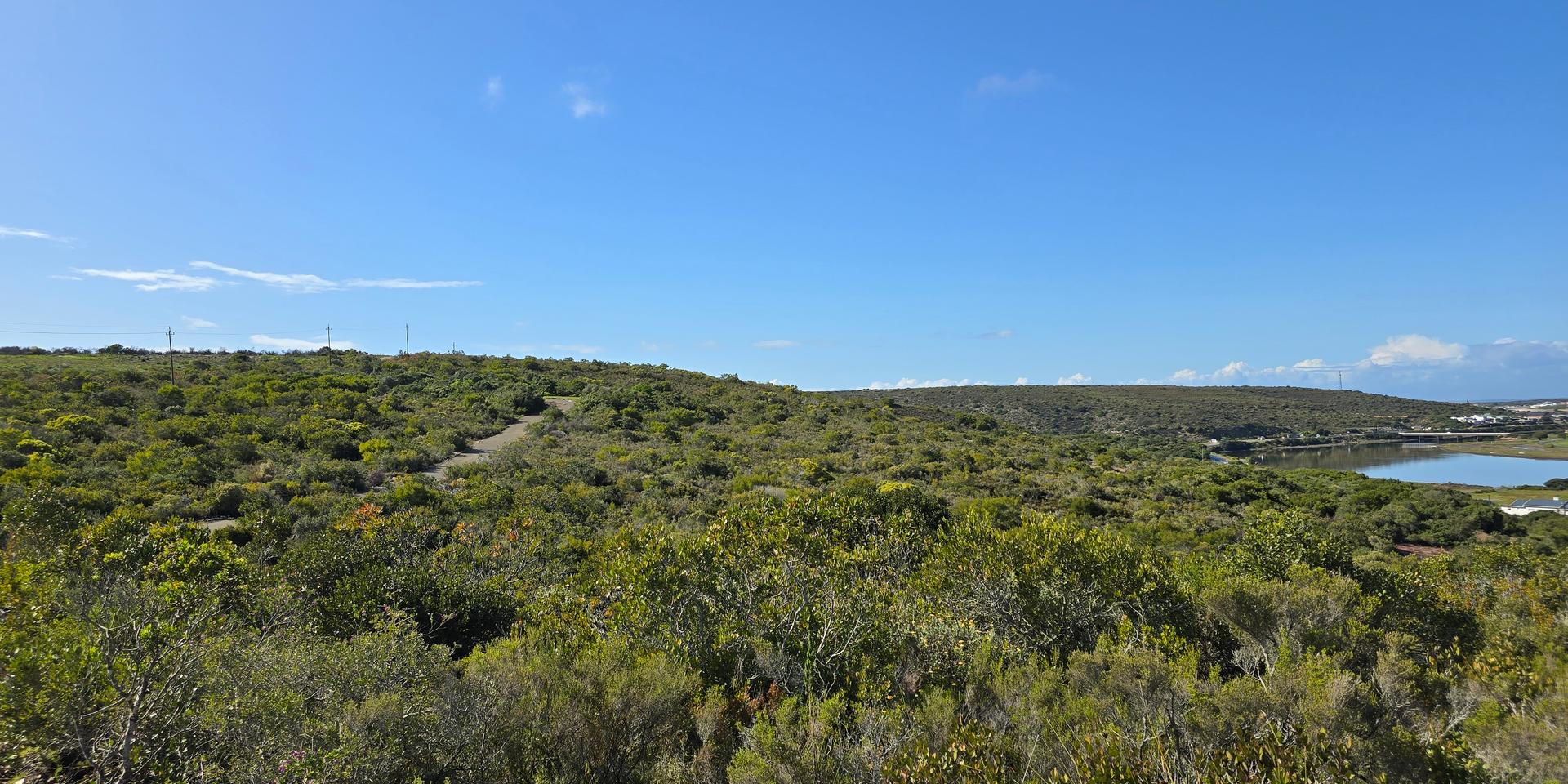 Image 2 of 6