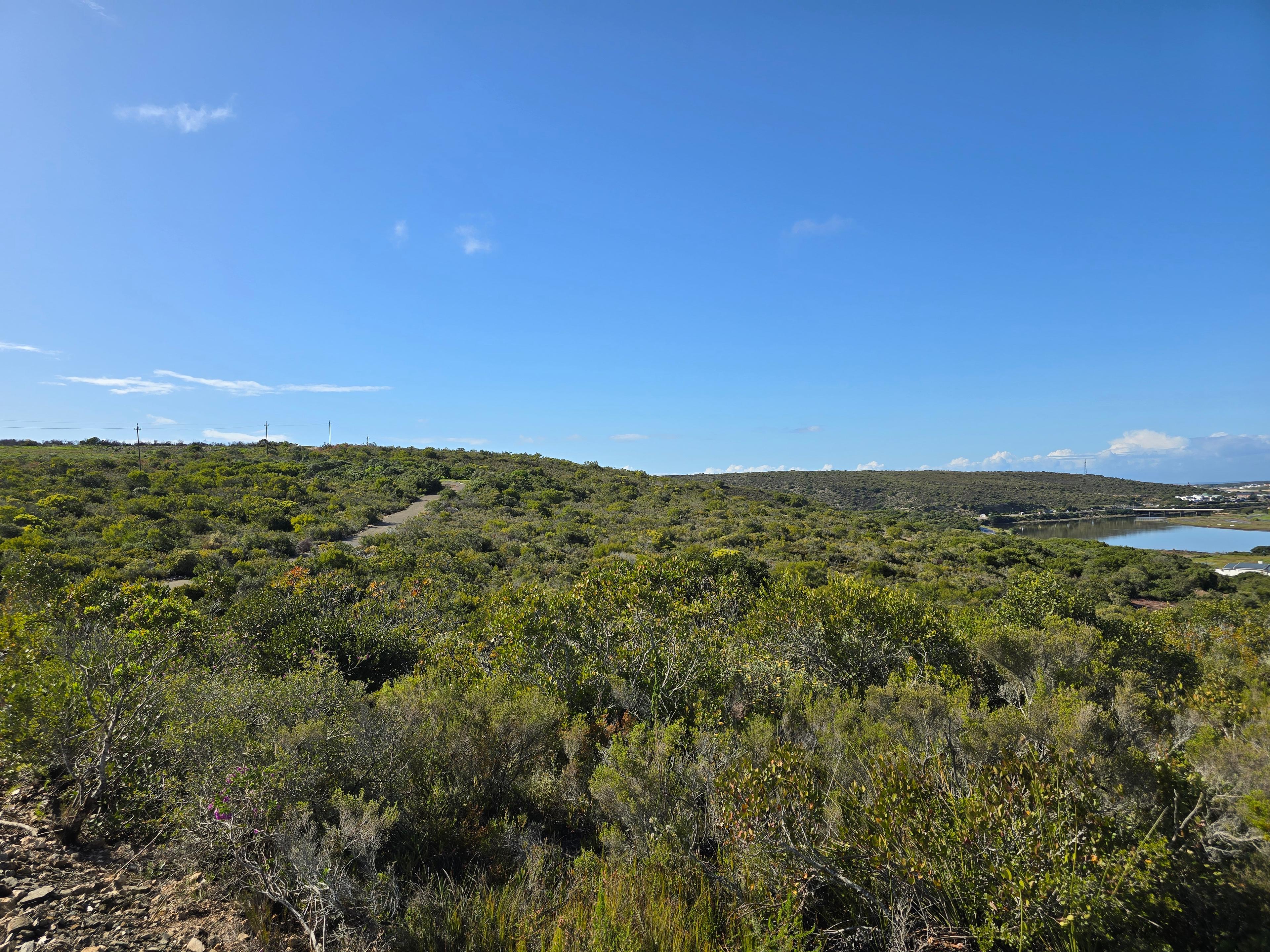 Image 2 of 6