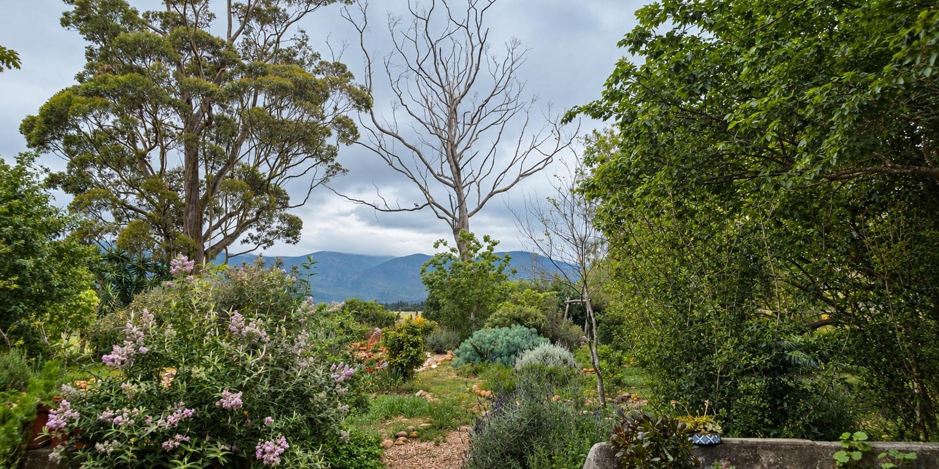 Image 5 of 6