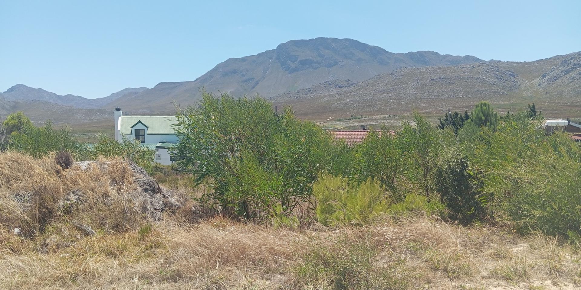Image 2 of 5