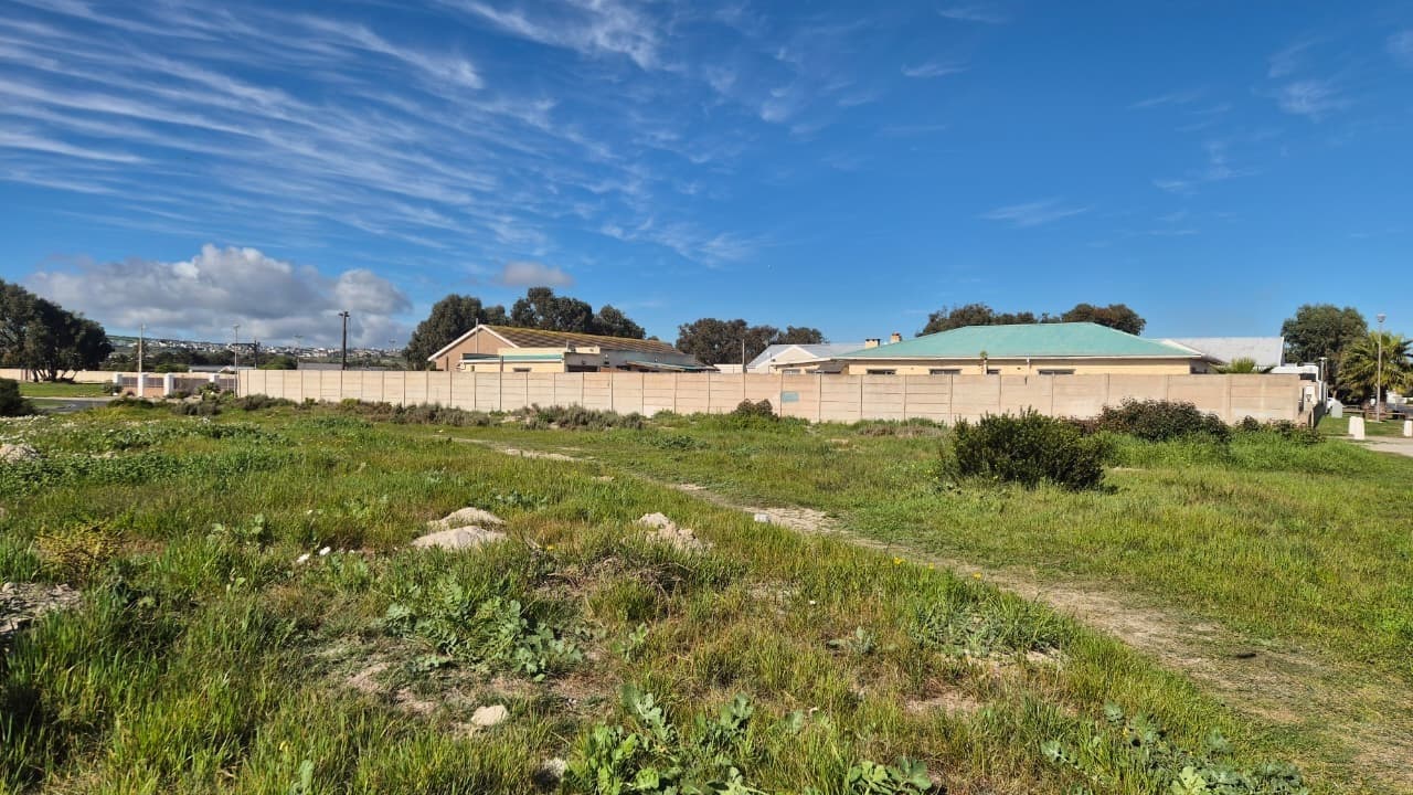 Image 15