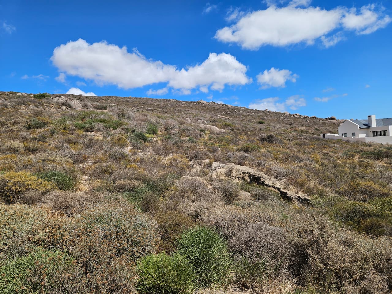Image 5 of 6